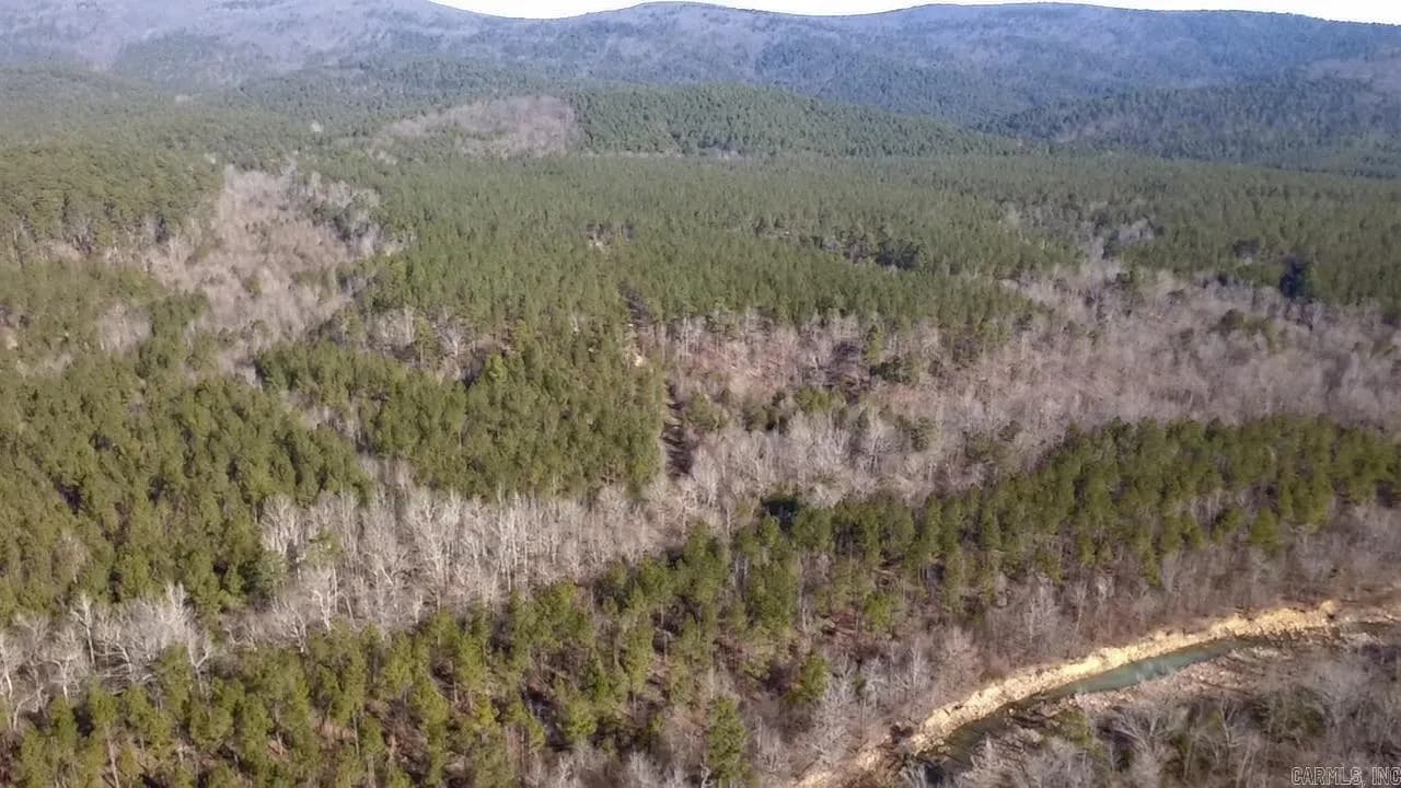 Property at Unk  Polk road 90 - Image 16
