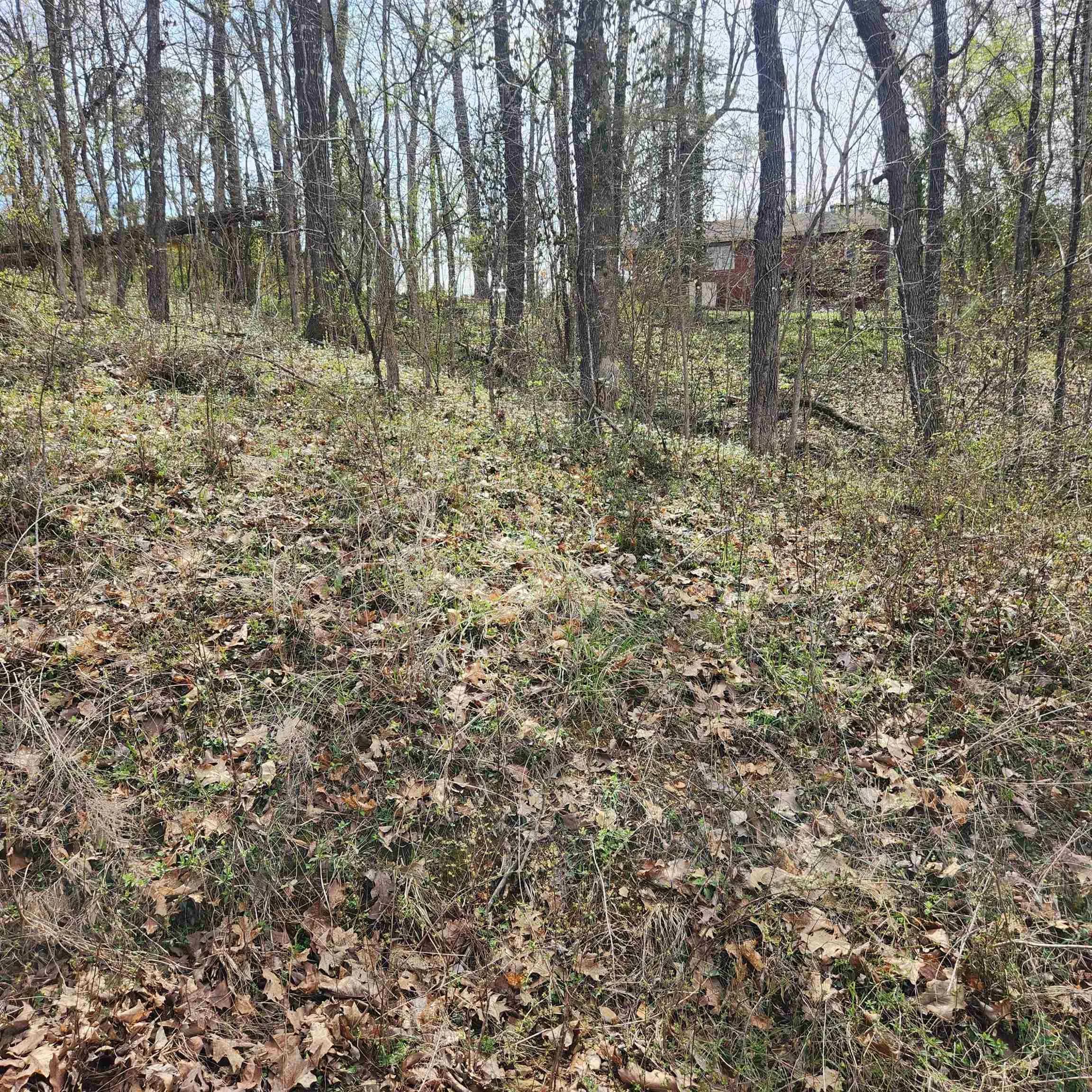 Property at L-6, B-4  Tomahawk - Image 3