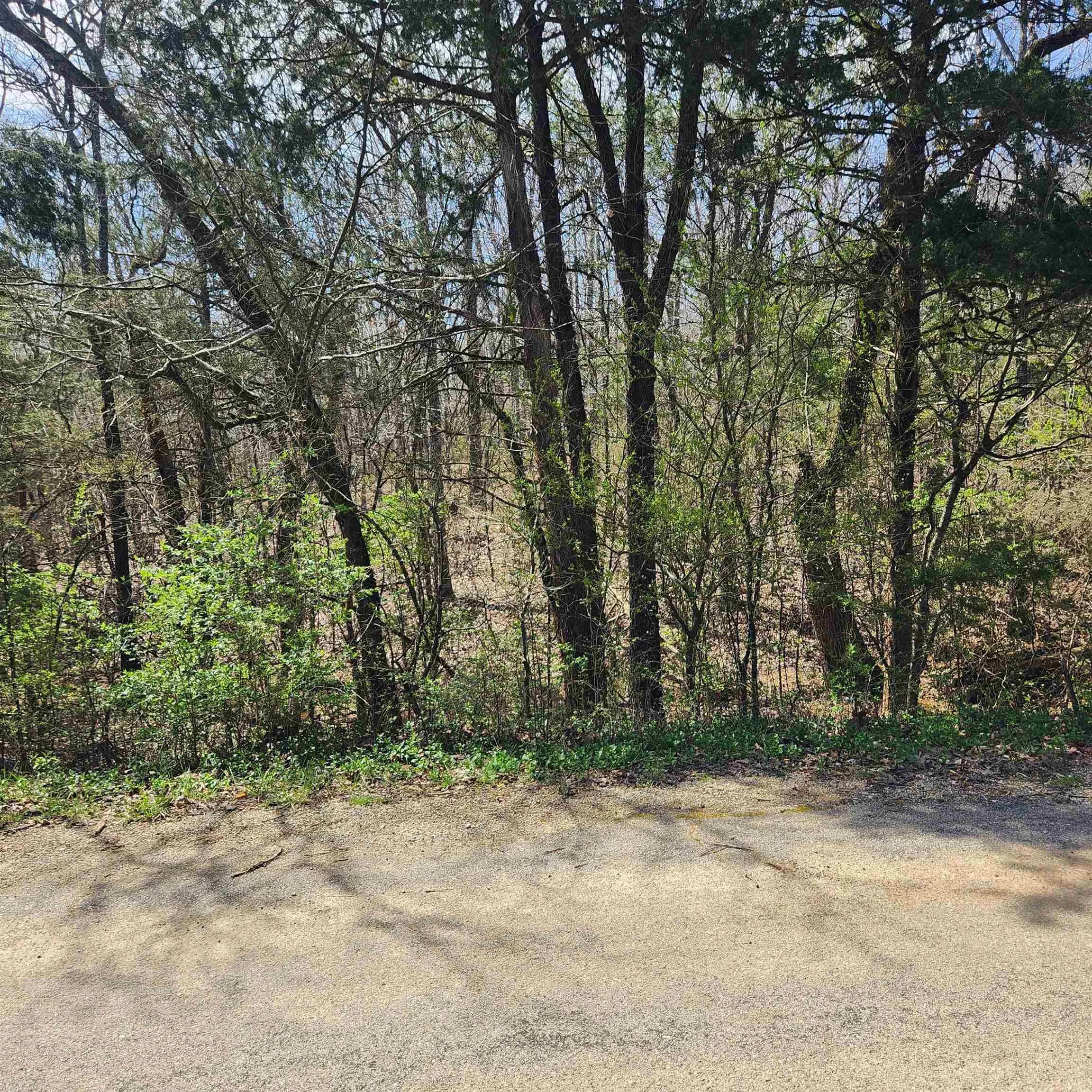 Property at L 19 B 9  Ouachita - Image 3