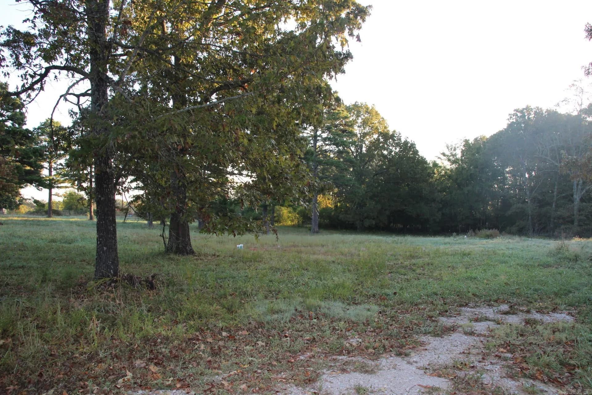 Property at 19  Old shop - Image 6