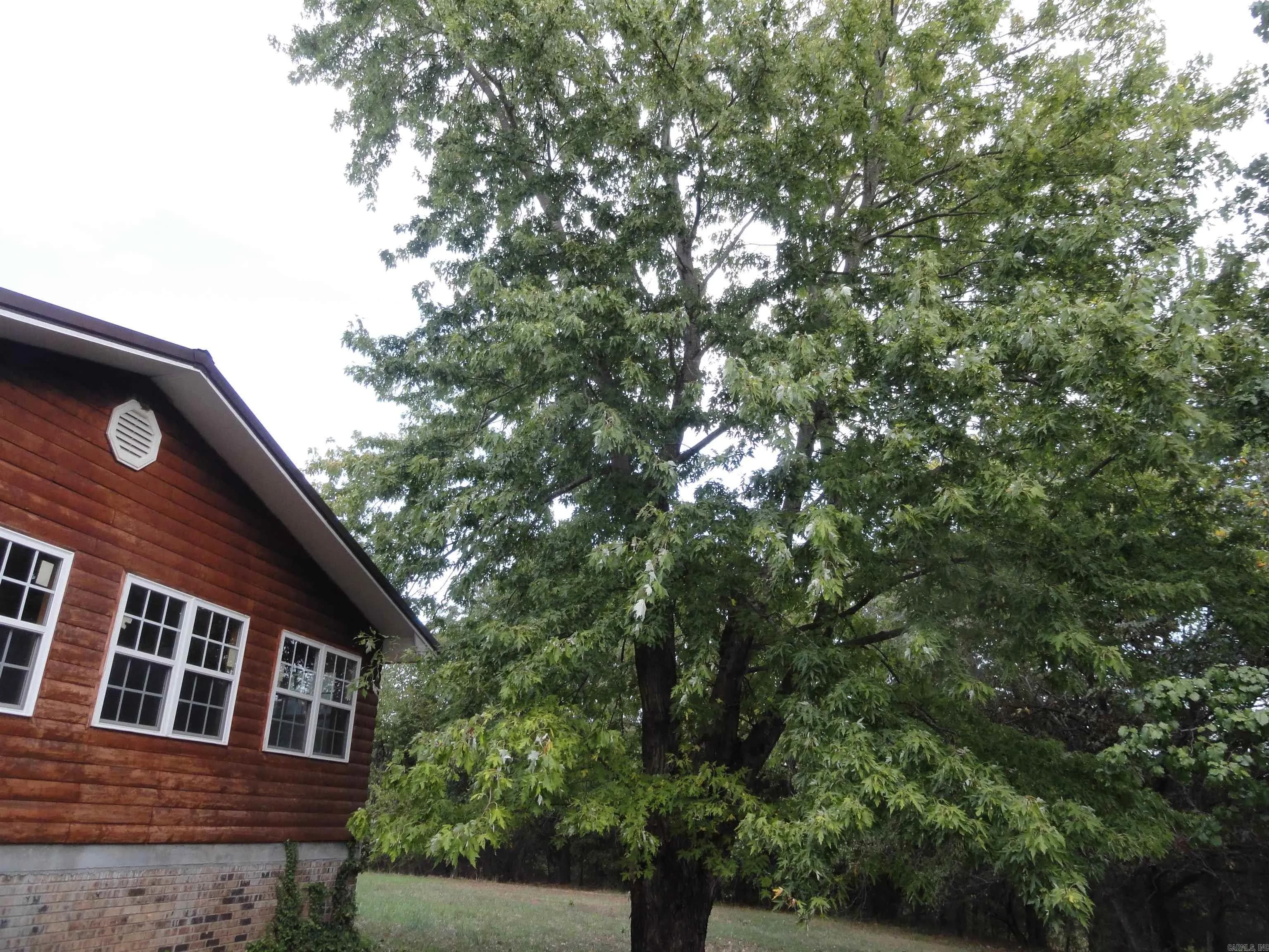 Property at 233  Piney - Image 6