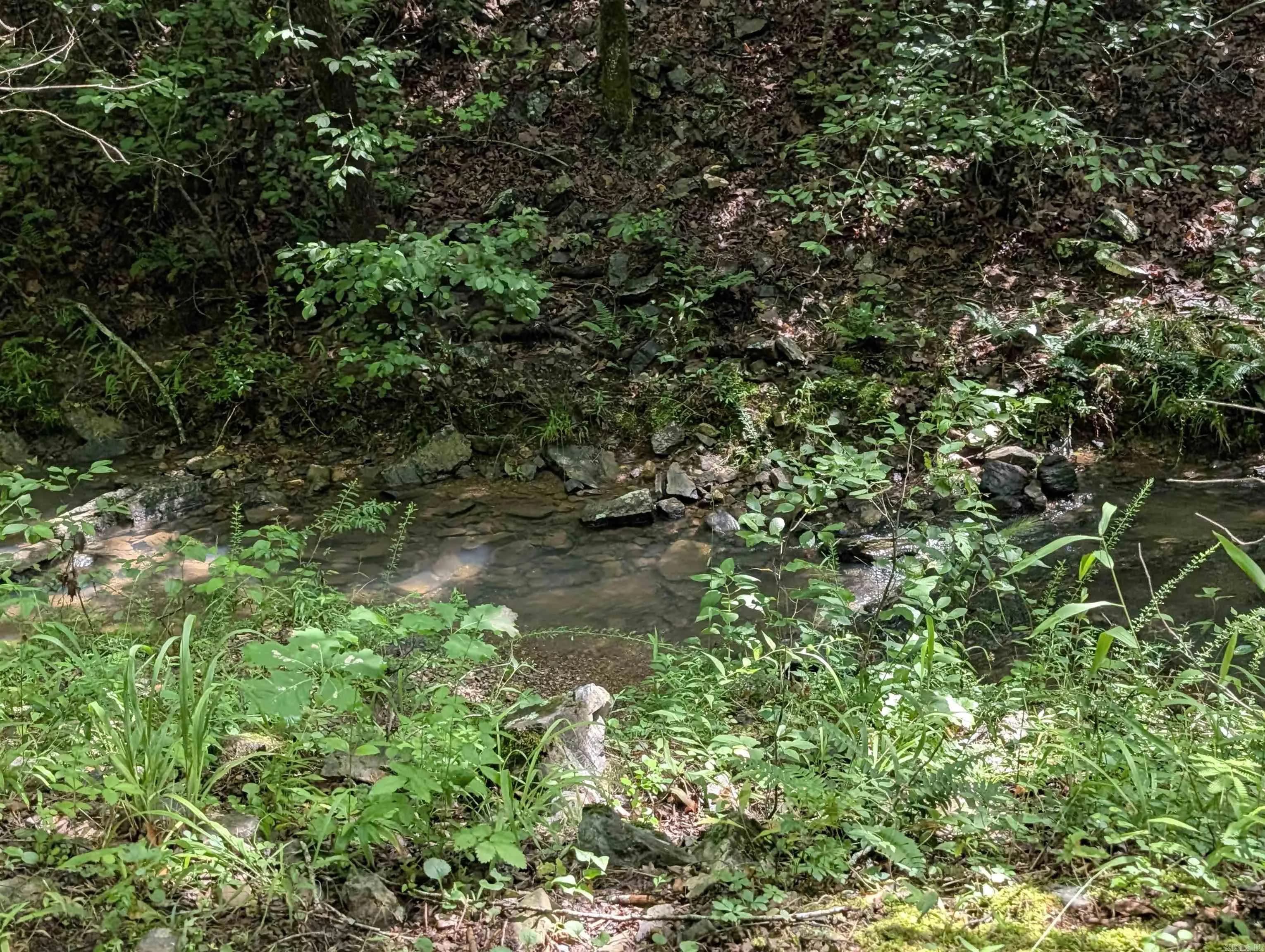 Property at Unk  Fs road 521 - Image 26