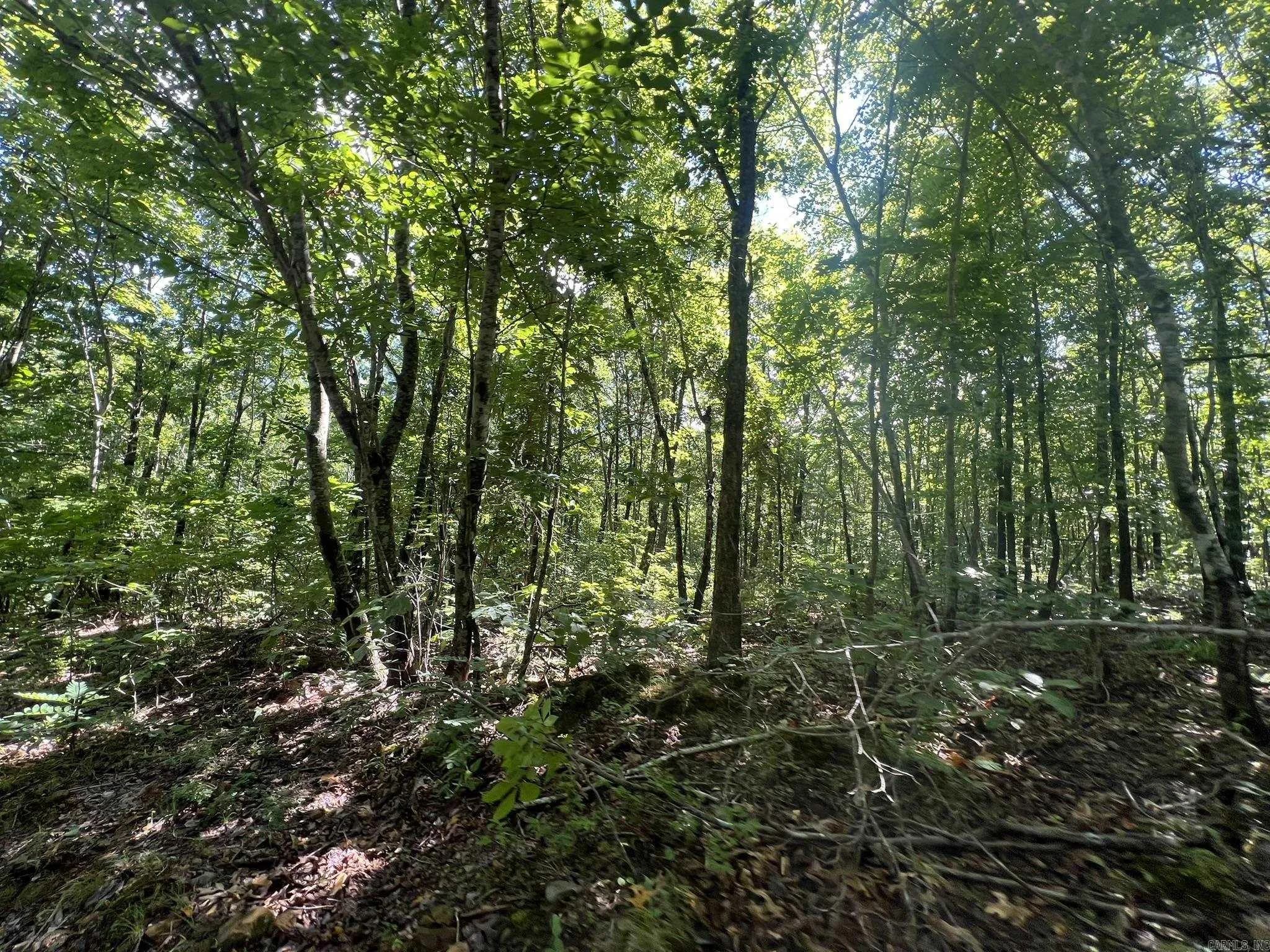 Property at Unk  Fs road 521 - Image 20