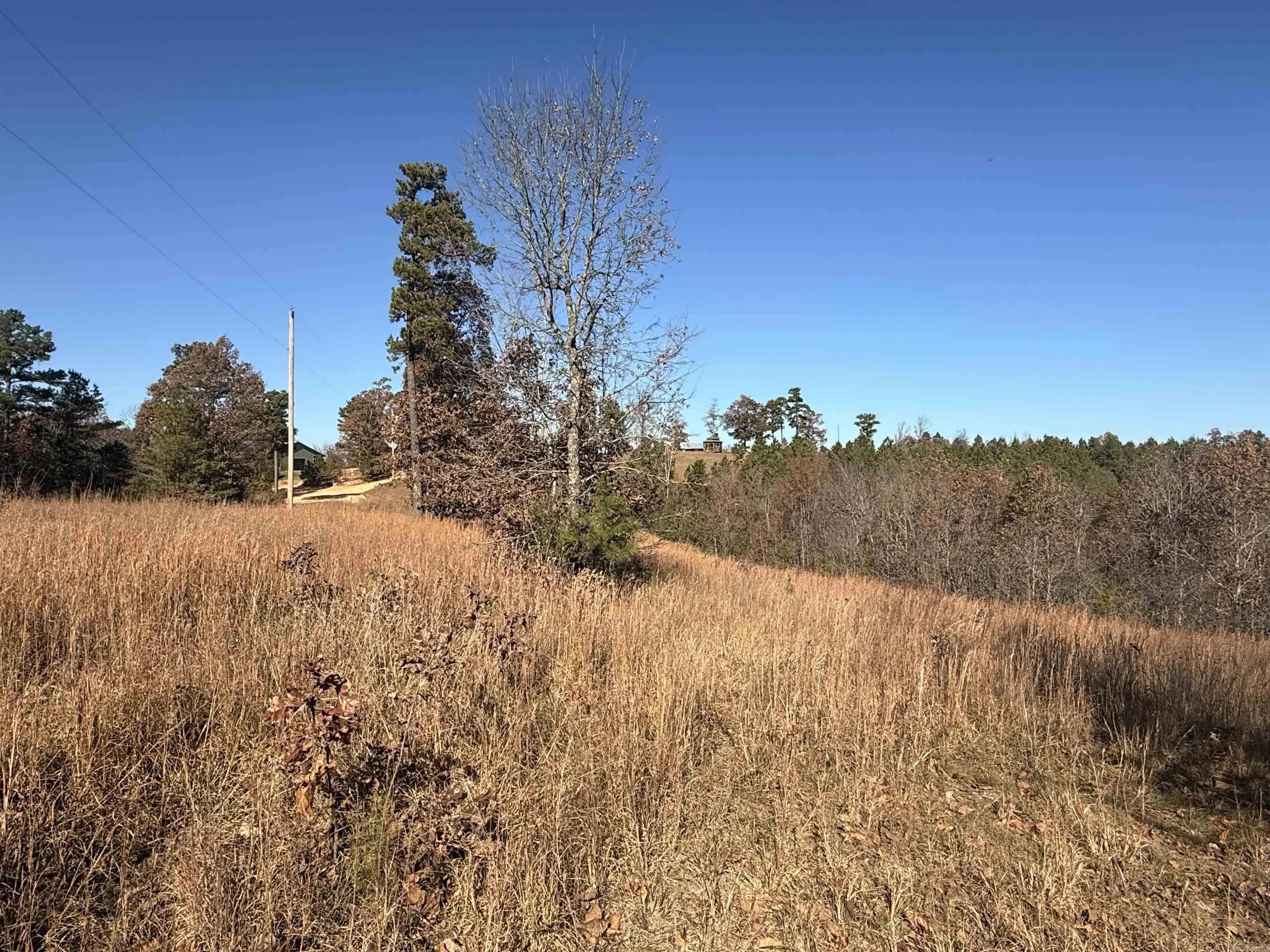 Property at 000  Qmc - Image 13