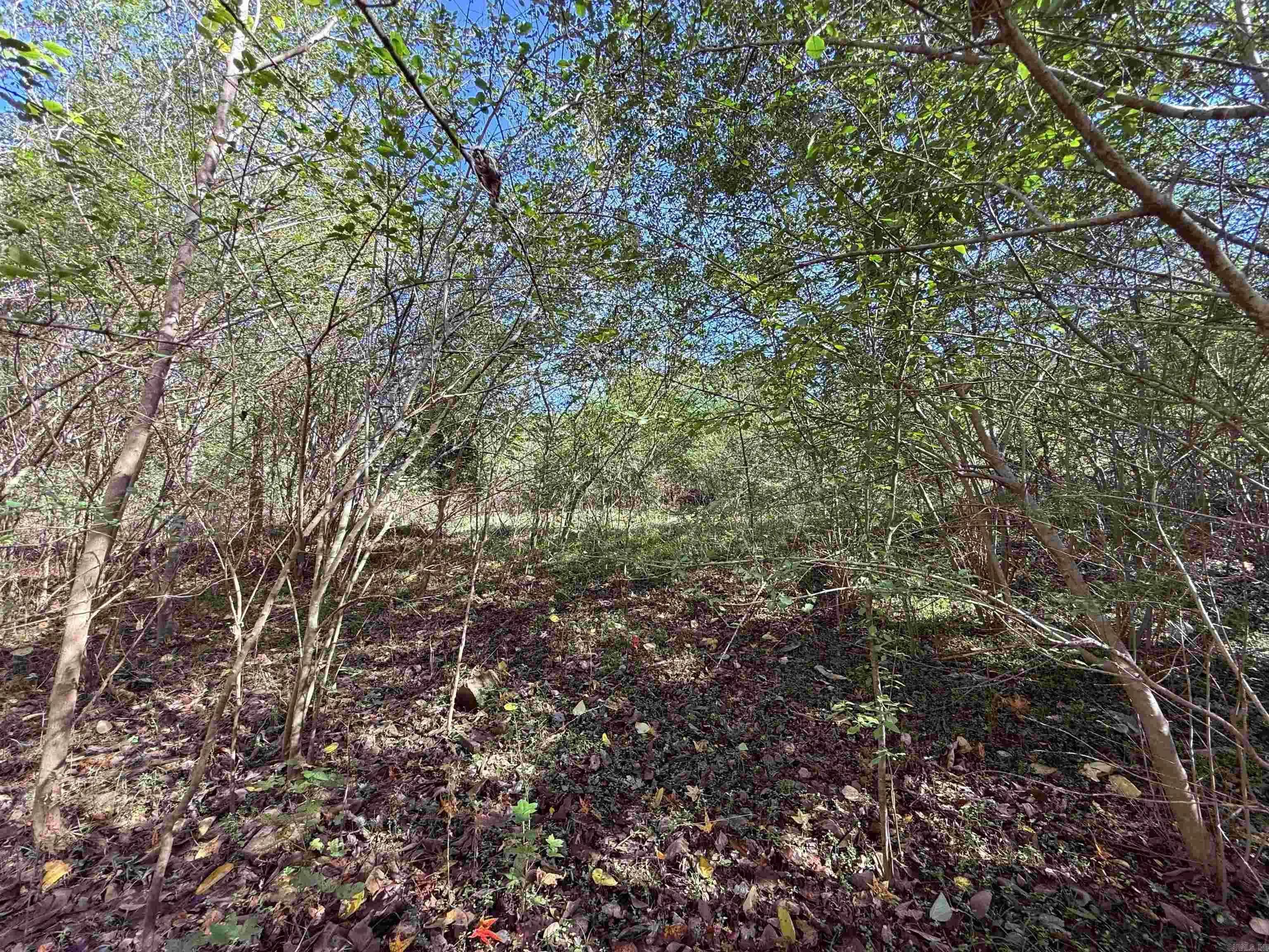 Property at 00  Hwy 167 - Image 14