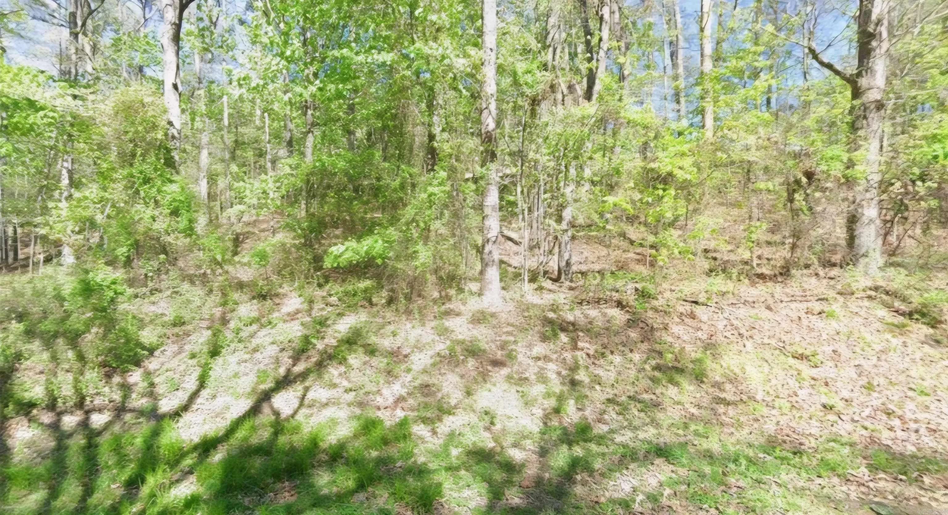 Property at Lot 335-336  Woodlawn - Image 5