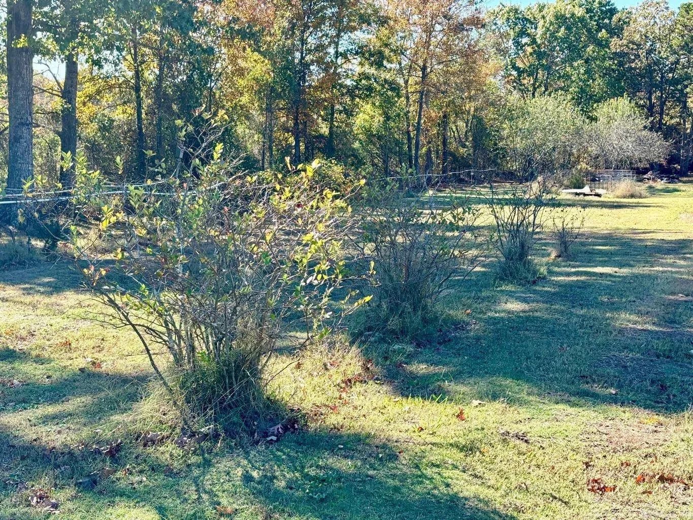 Property at 15  White oak - Image 46