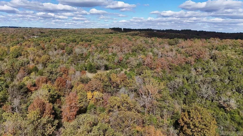 Property at 40 Acres  Squirrel - Image 16