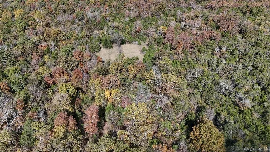 Property at 40 Acres  Squirrel - Image 6