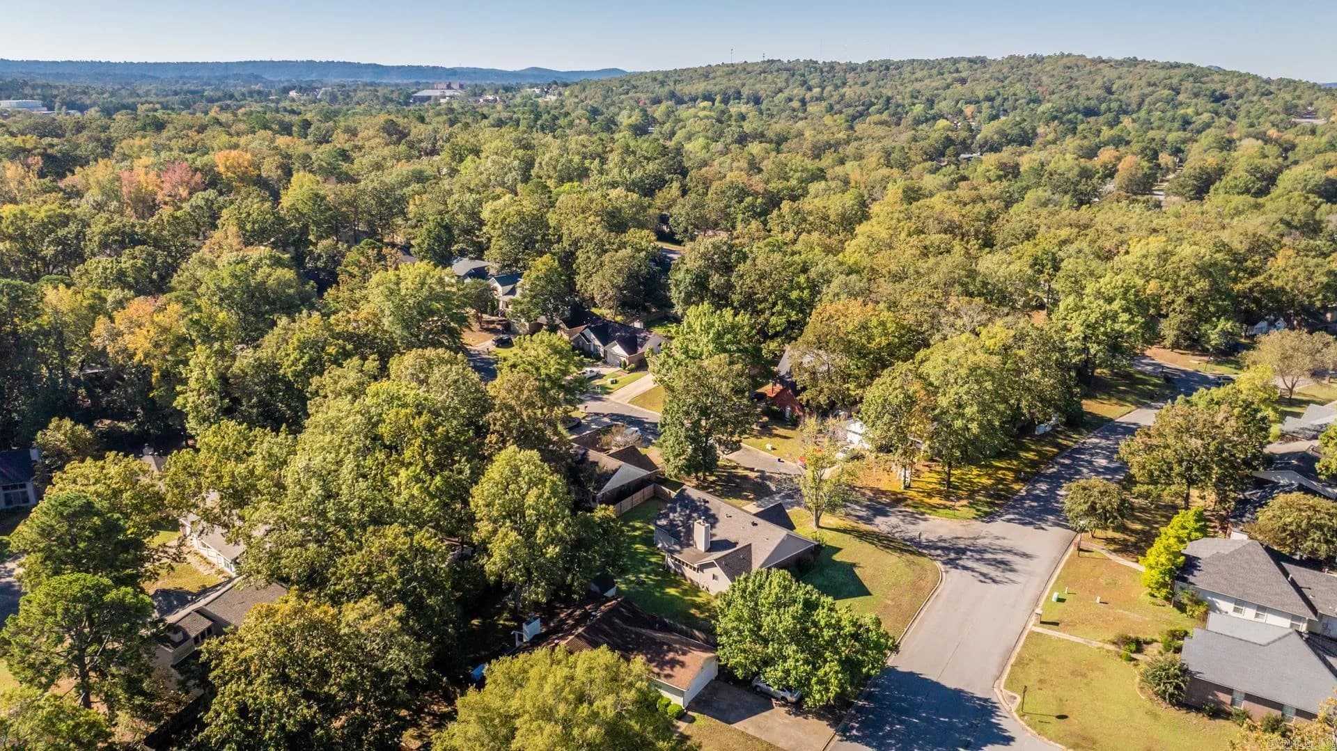 Property at 50  High timber - Image 36