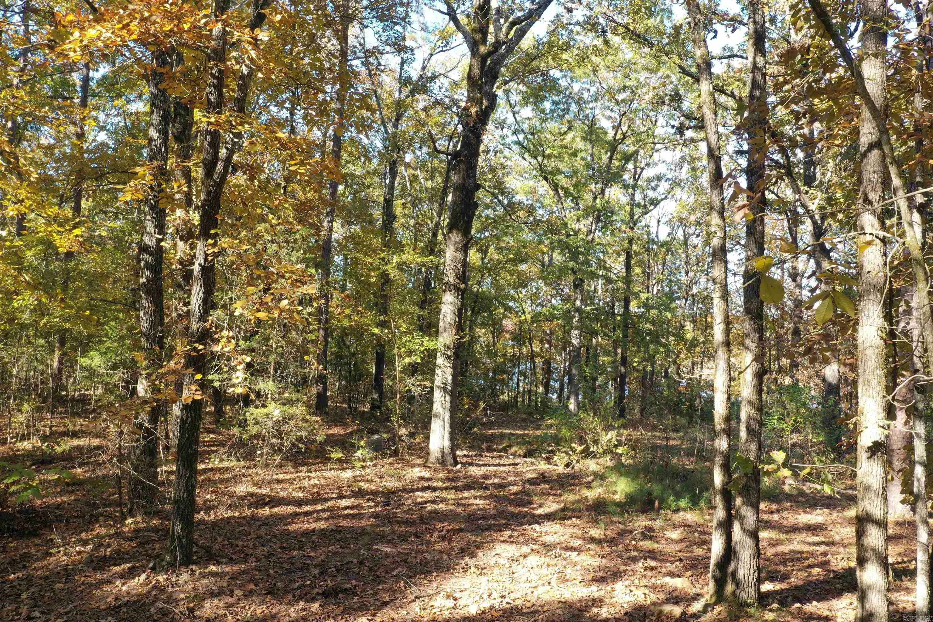 Property at 450  Crockett - Image 20