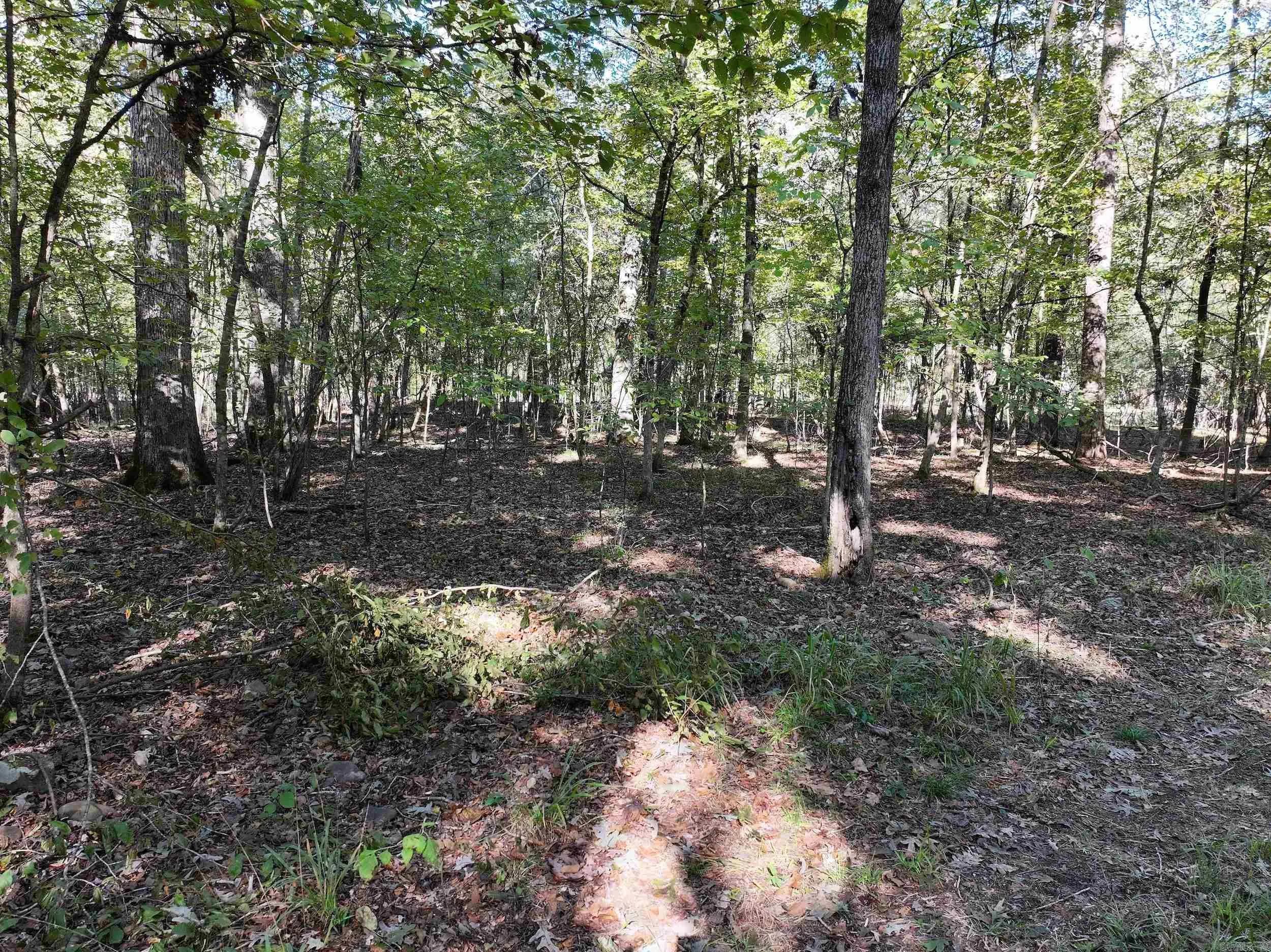 Property at XXX  Sour springs - Image 21