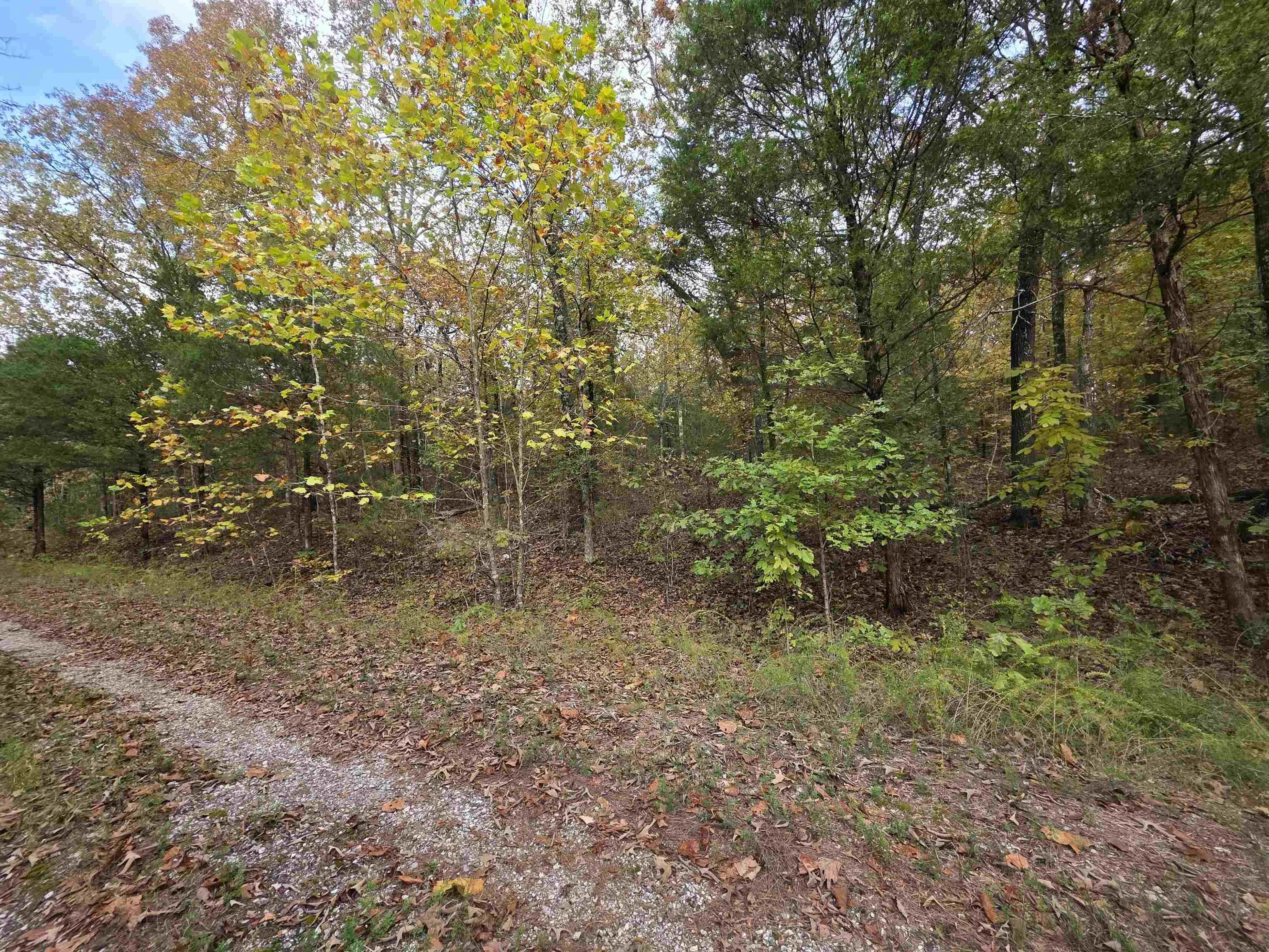 Property at L-5,6 B- 3  Apoxsee - Image 7