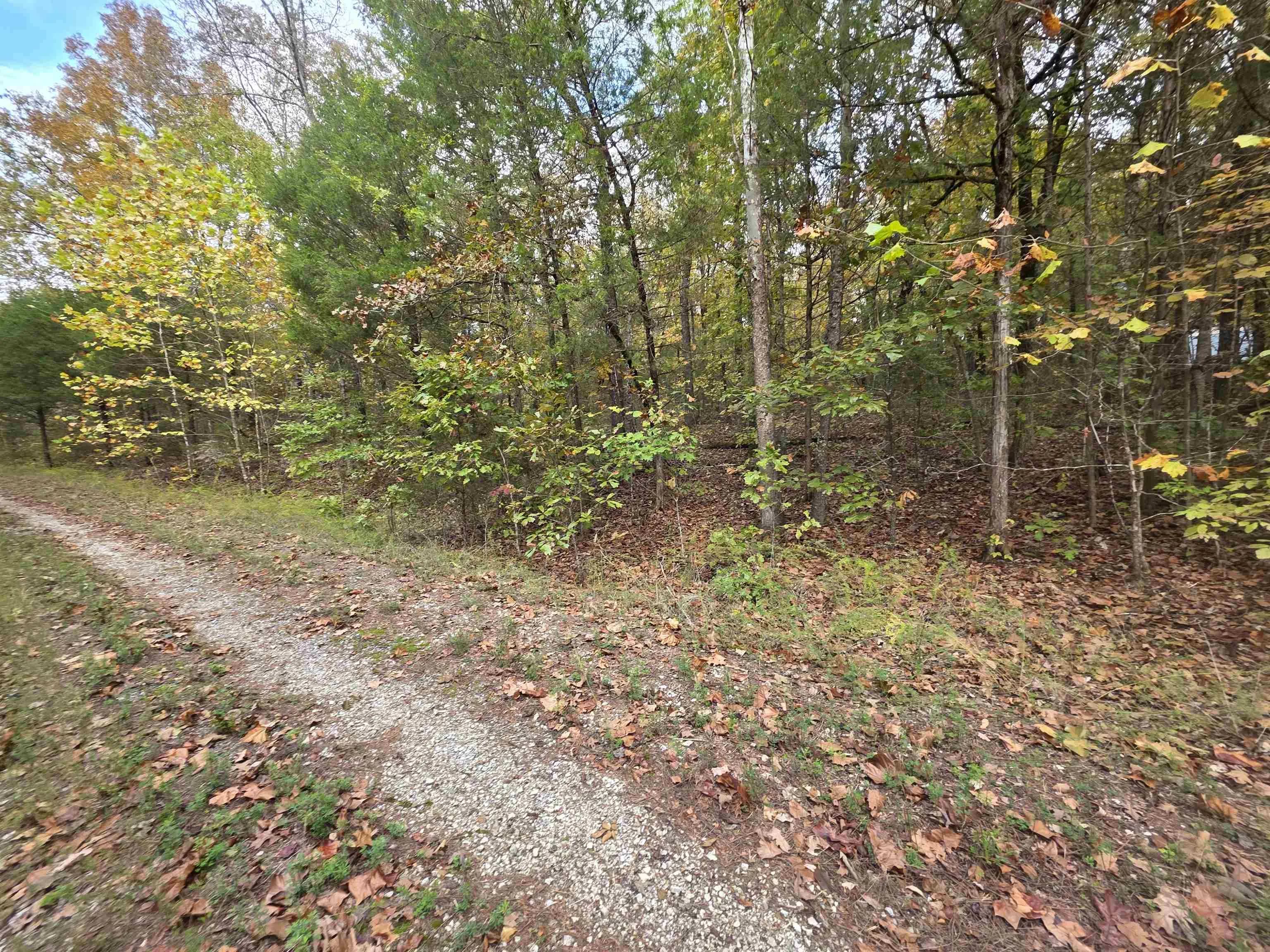 Property at L-5,6 B- 3  Apoxsee - Image 6