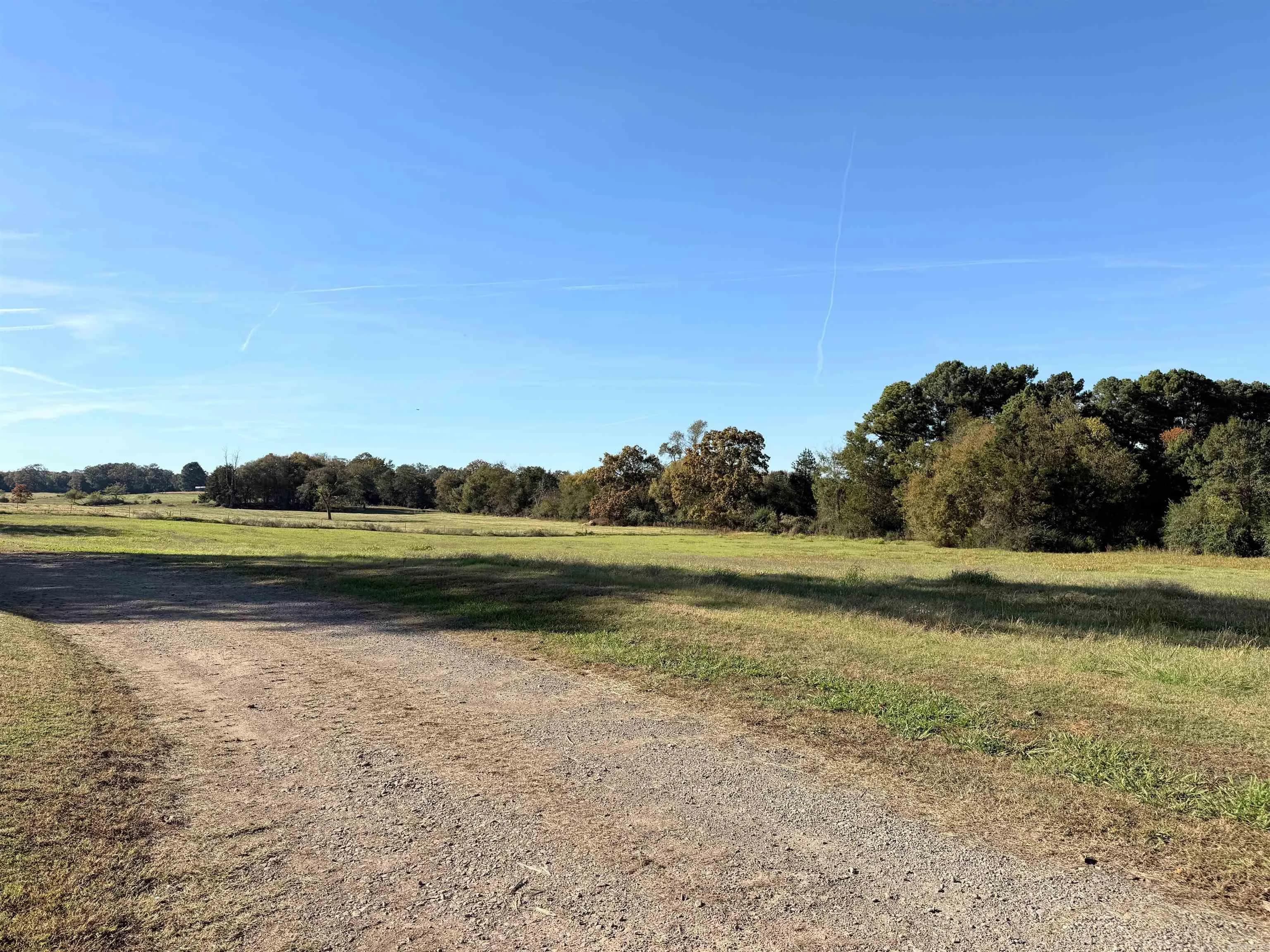 Property at 611  Elberta - Image 34