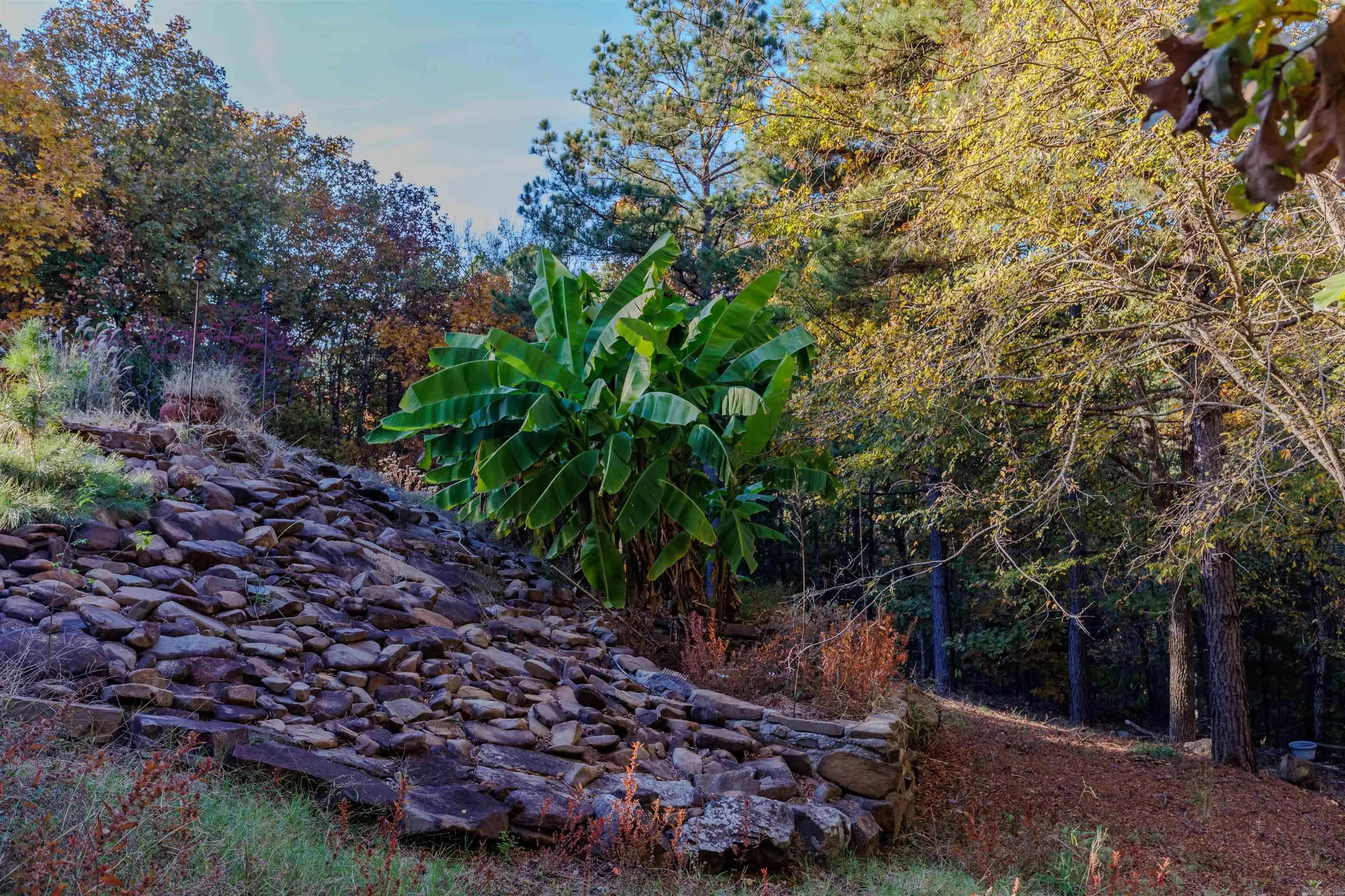Property at 95  Cannon hill - Image 39