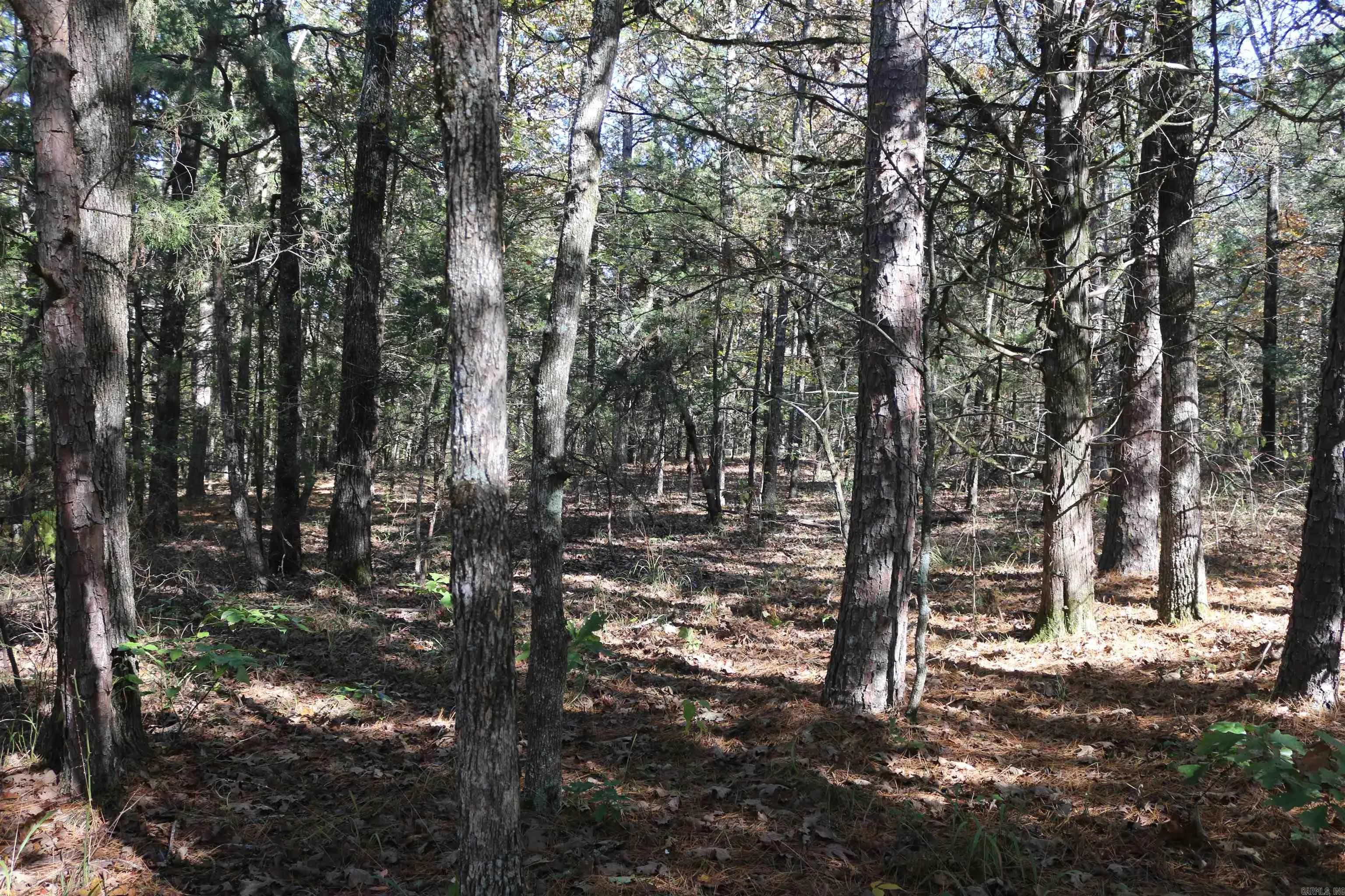 Property at 000  Bell lane - Image 3