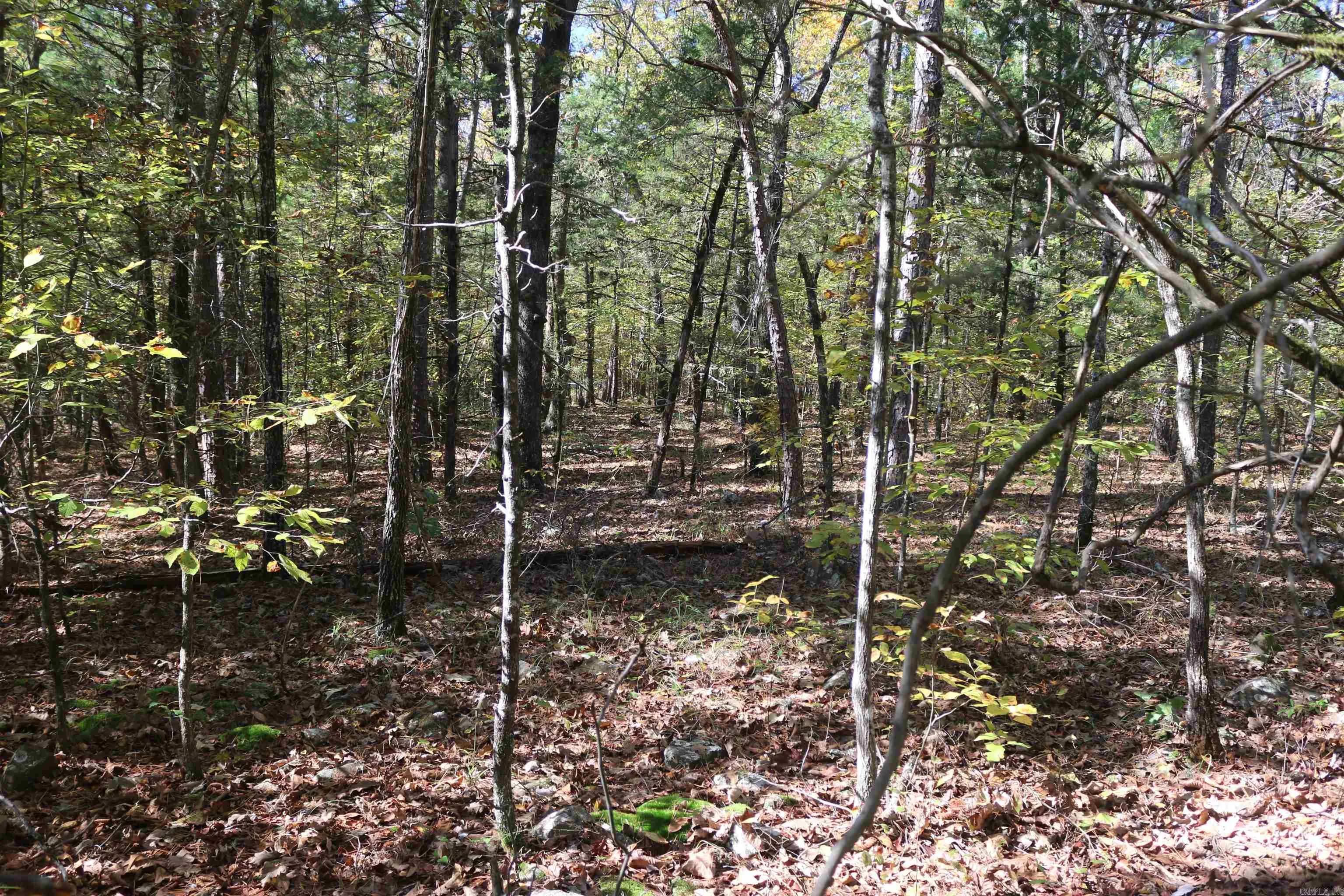 Property at 000  Bell lane - Image 18