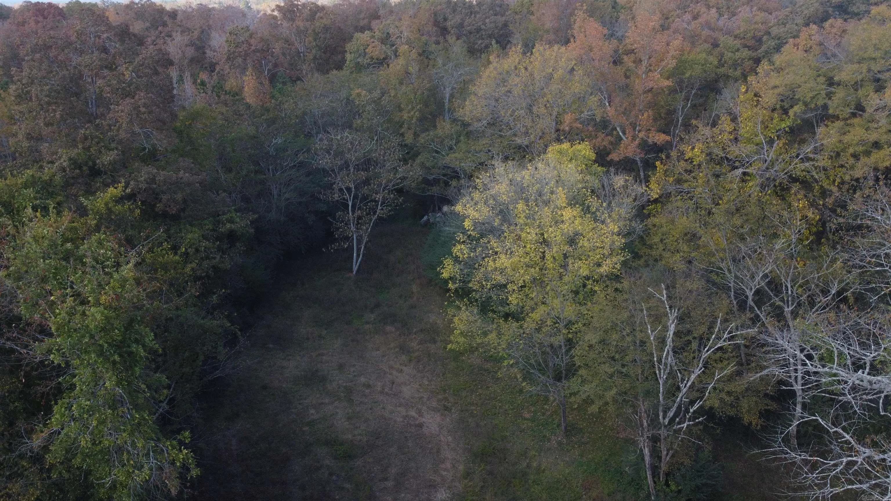 Property at 6763  Park - Image 2