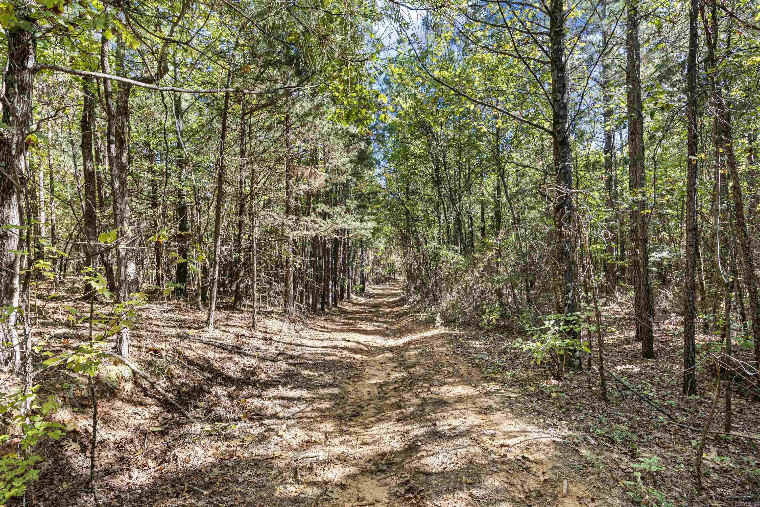 Property at 000  County rd 4200 - Image 23