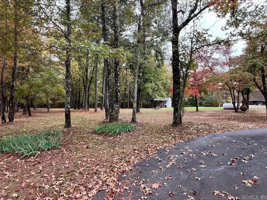 Property at 1658  Avalon - Image 9