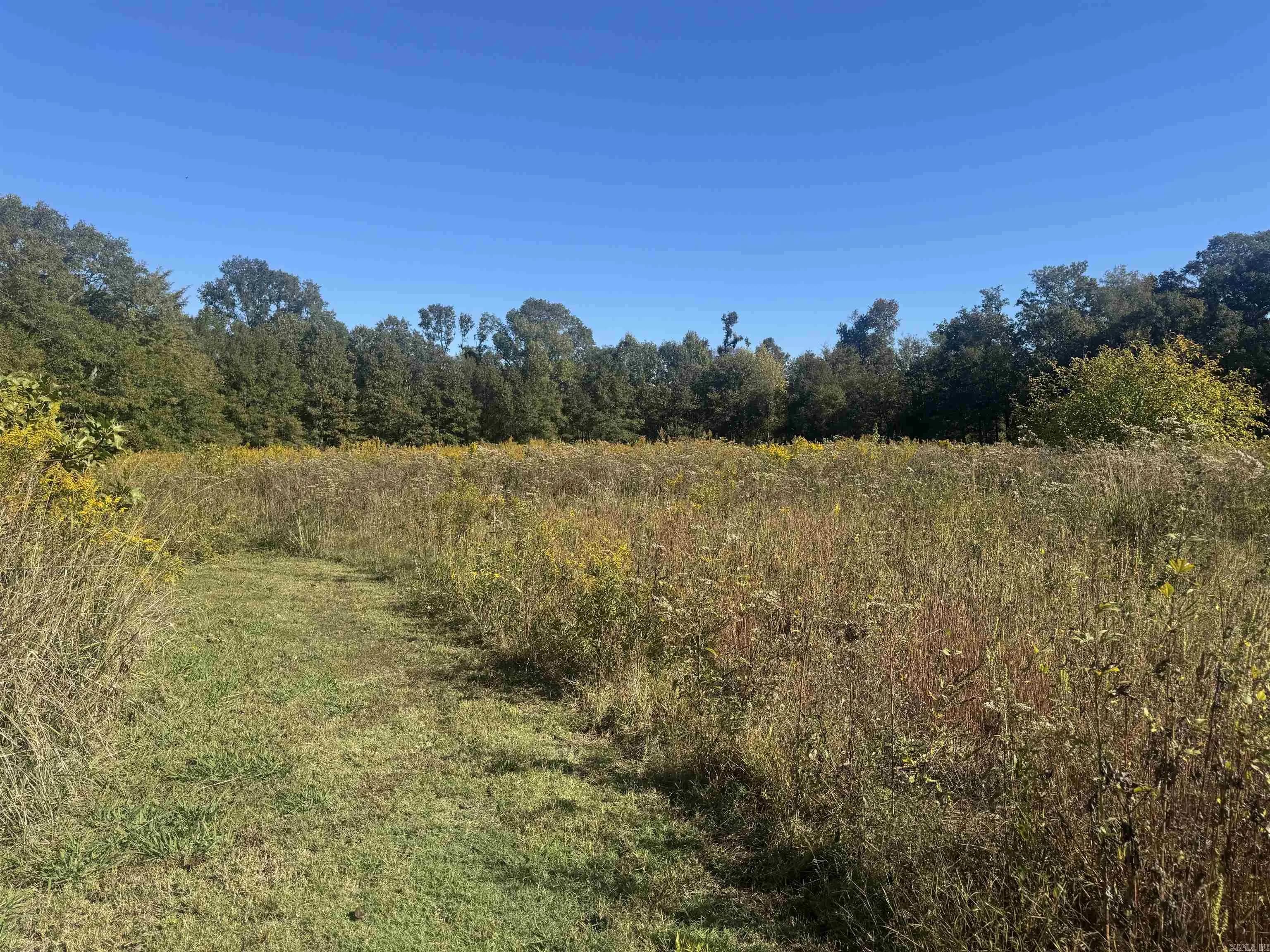 Property at 227  Mcpherson rd - Image 10