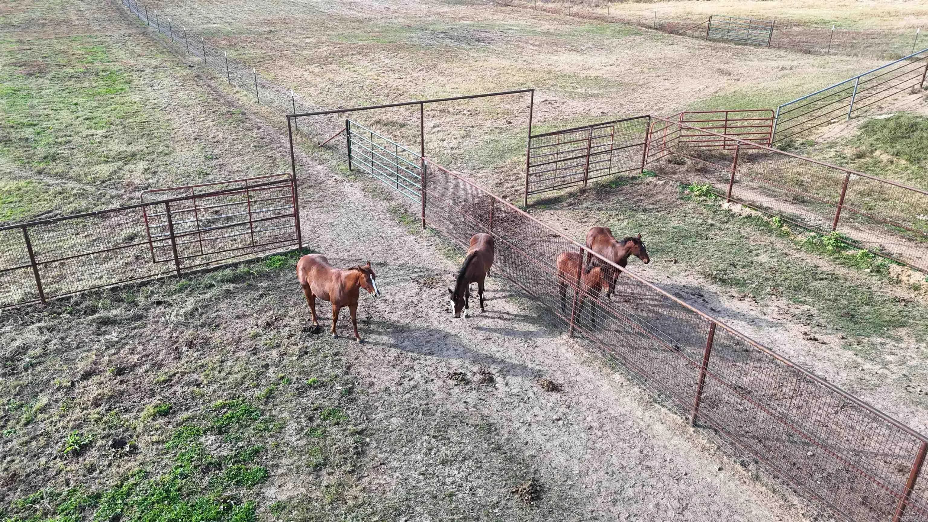 Property at 1768  Cutoff road - Image 19