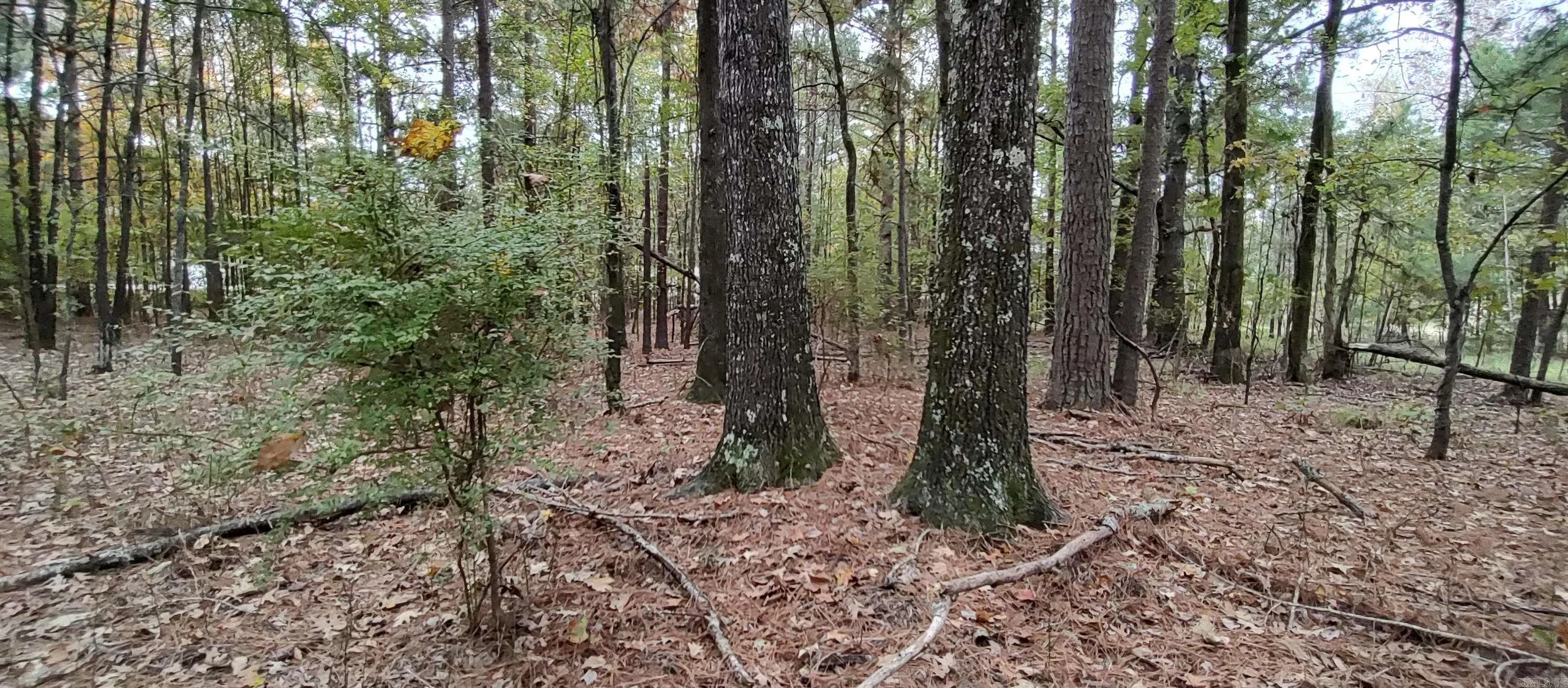 Property at 2 acres  Hwy 79 n - Image 10