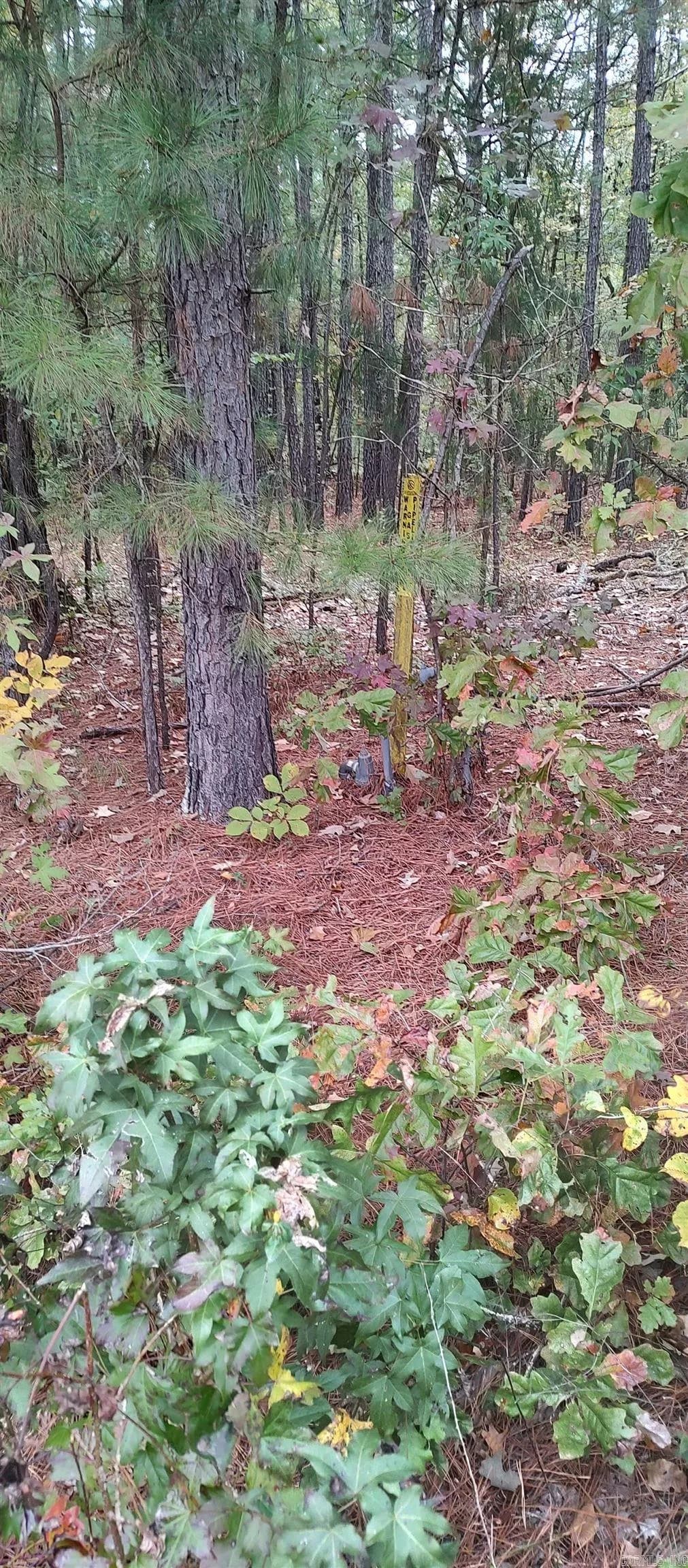 Property at 2 acres  Hwy 79 n - Image 2