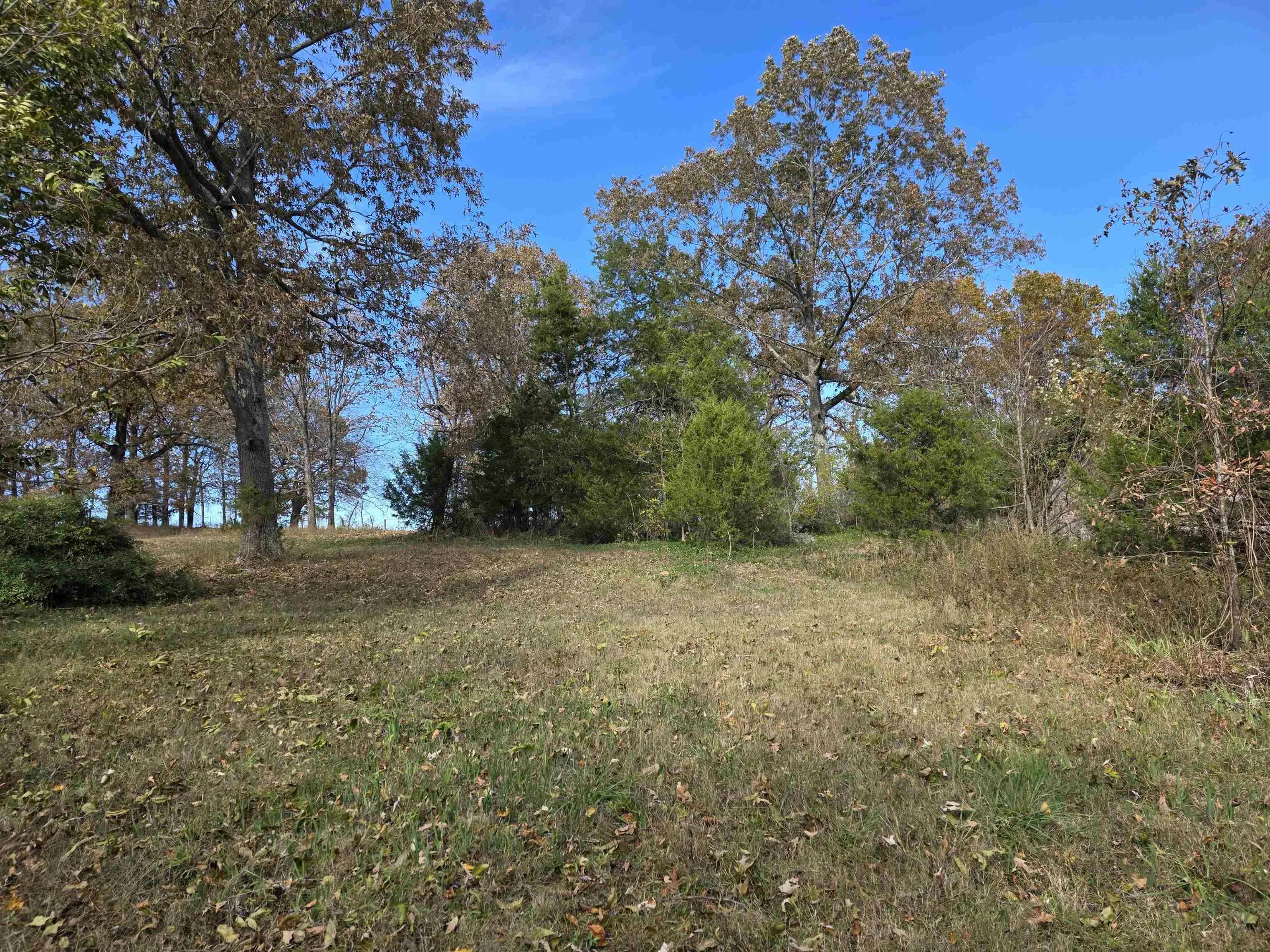 Property at 270 E Maxville - Image 25