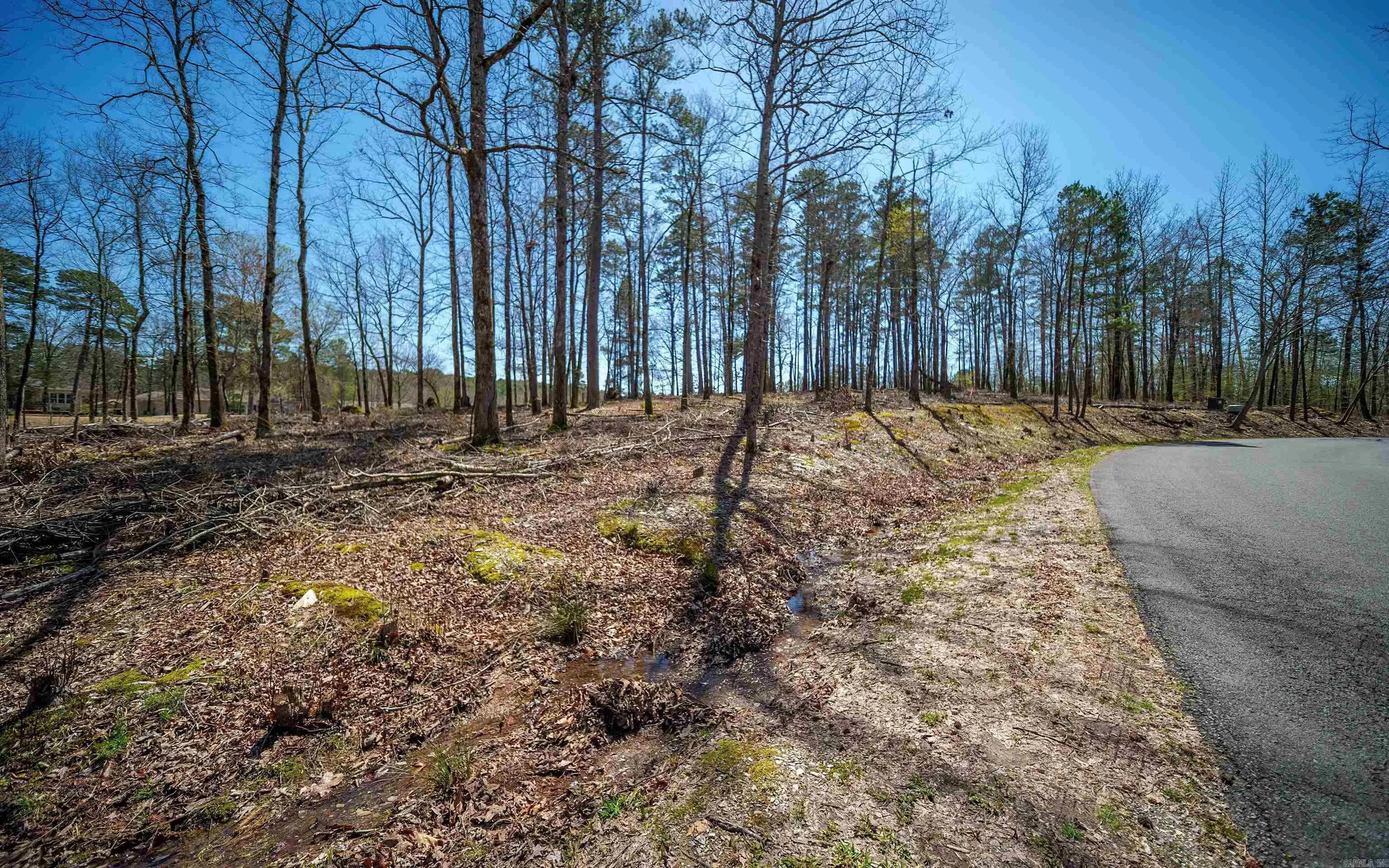 Property at 73  Cifuentes - Image 3