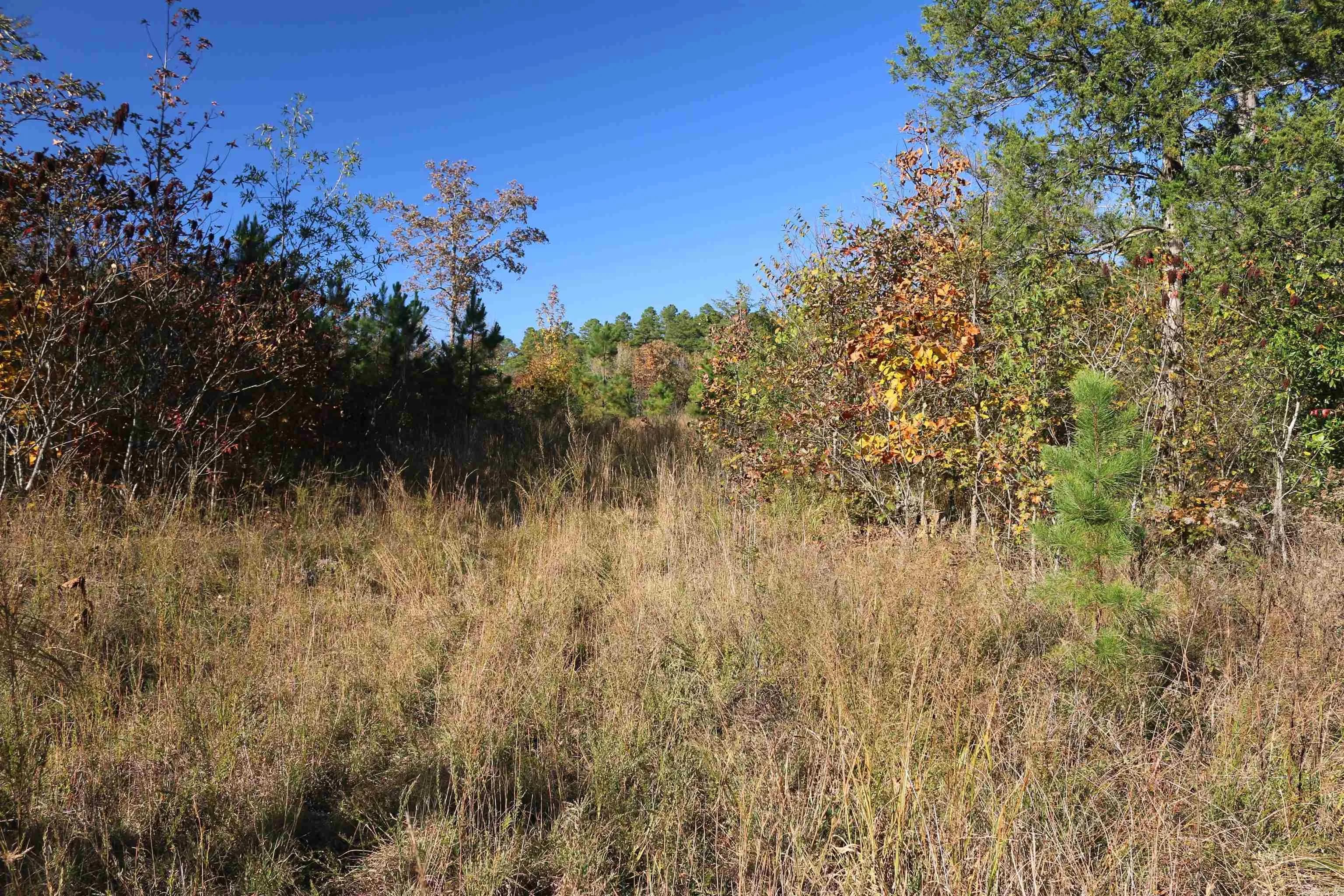 Property at 000  Kulp road - Image 34