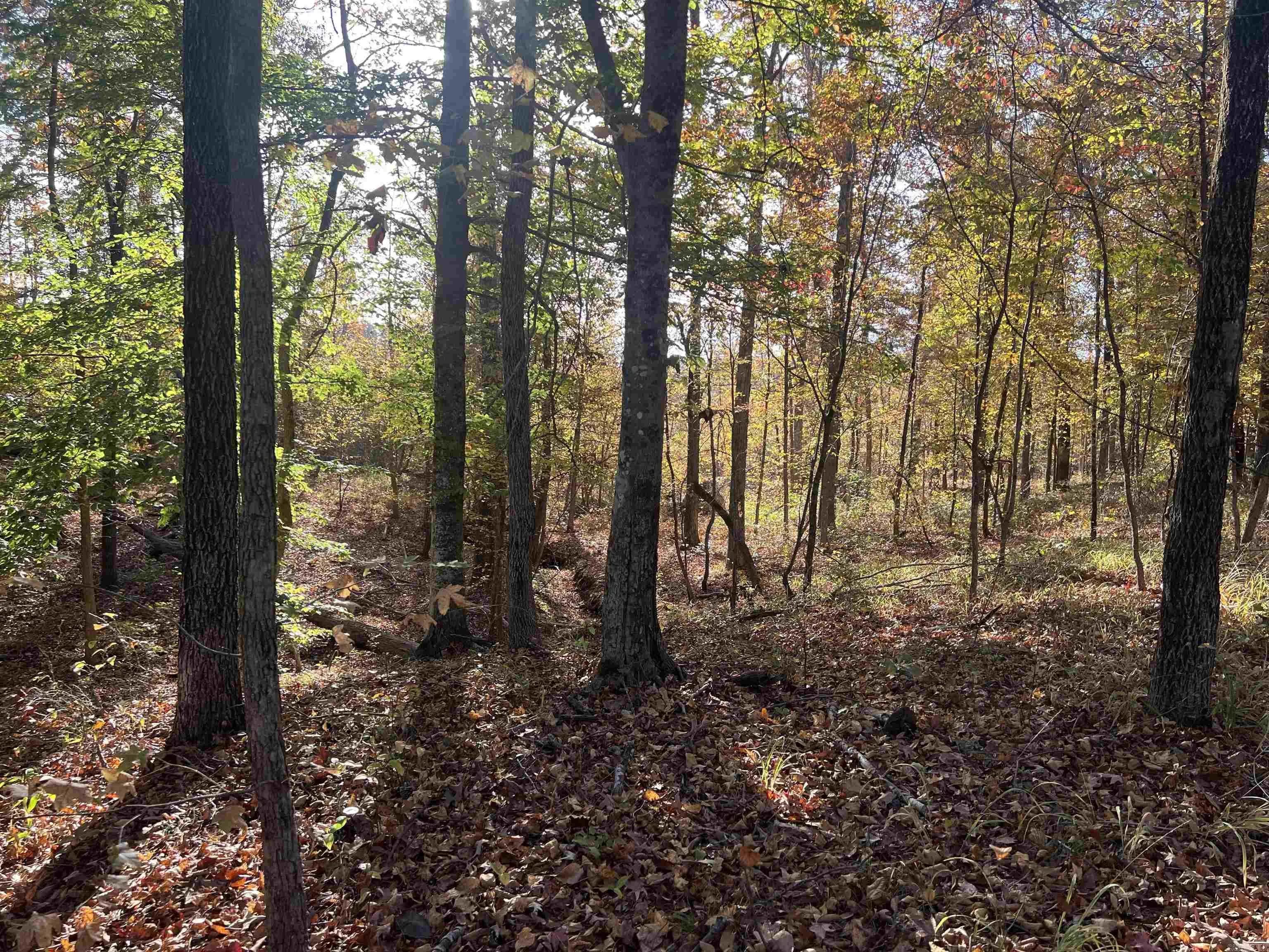 Property at 000  Sulpher springs rd - Image 46