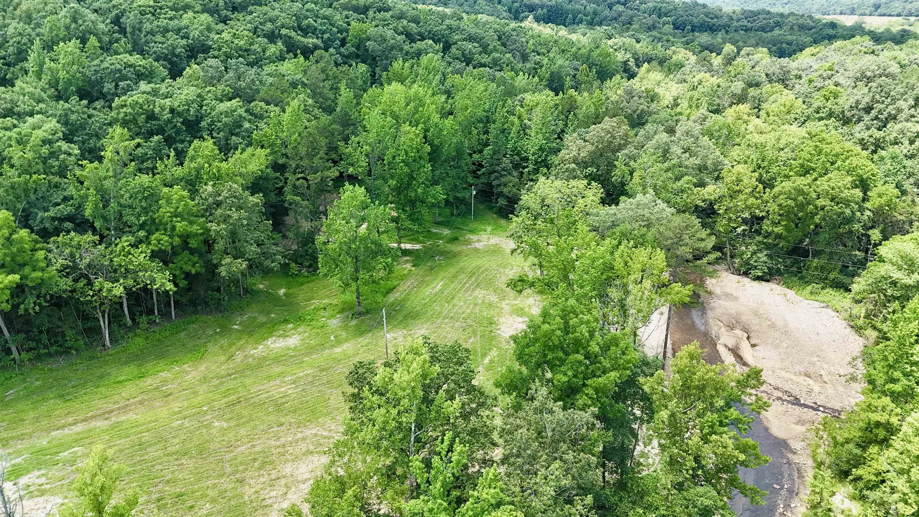 Property at 42.83 acres  Rose trail - Image 3