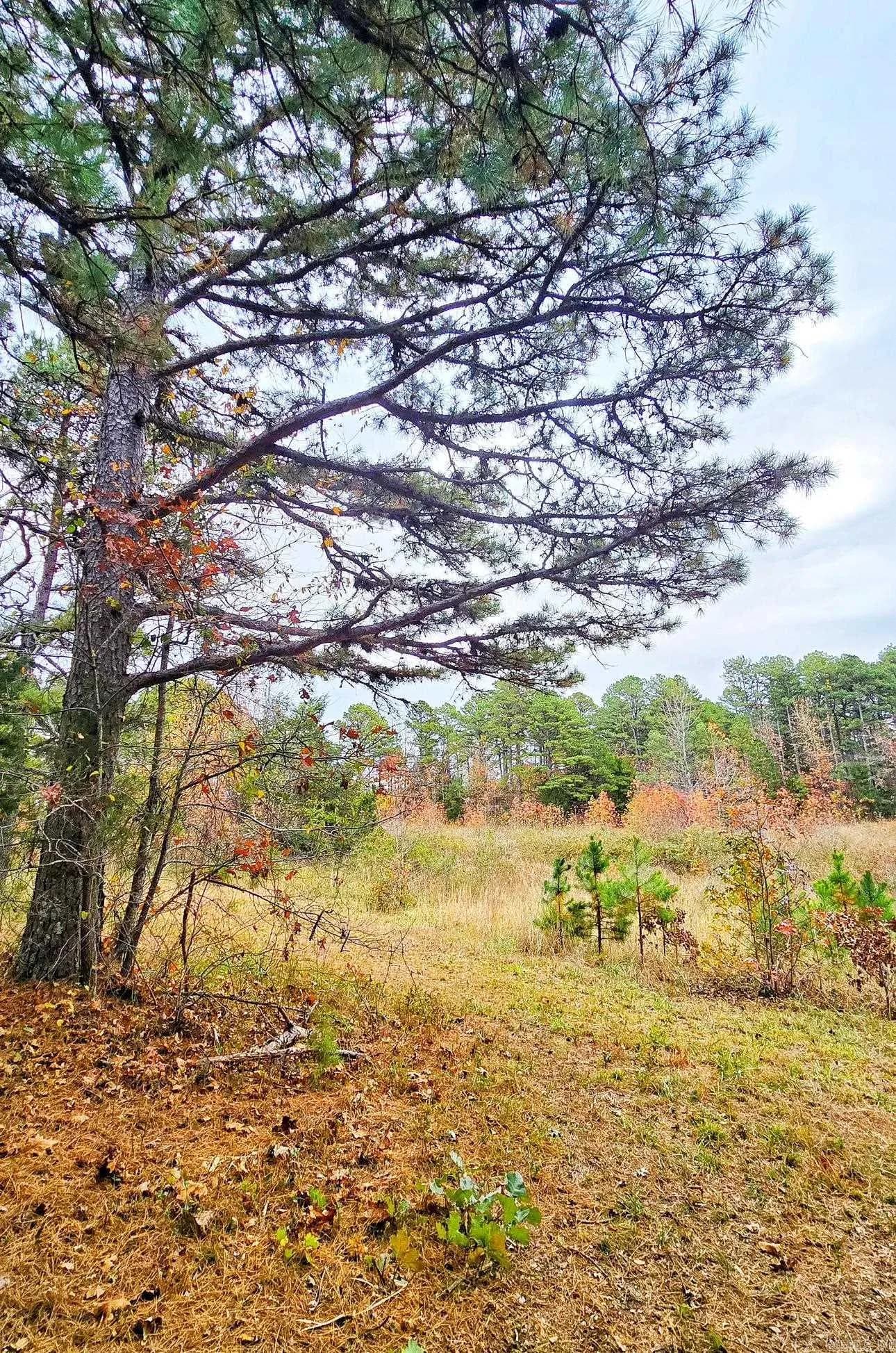 Property at 000  Elba rd - Image 6