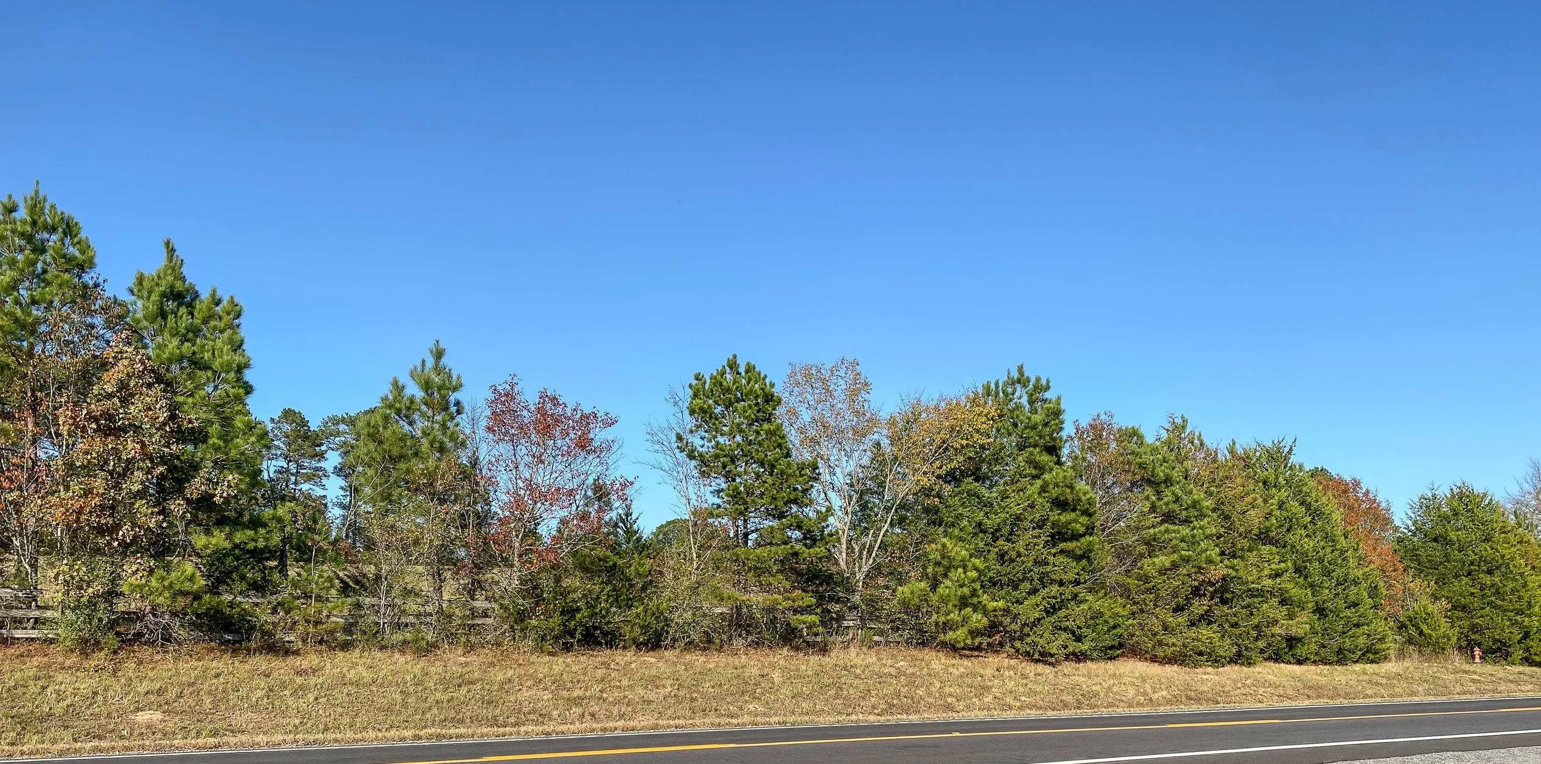 Property at 3109  Sunshine  Tract B - Image 16