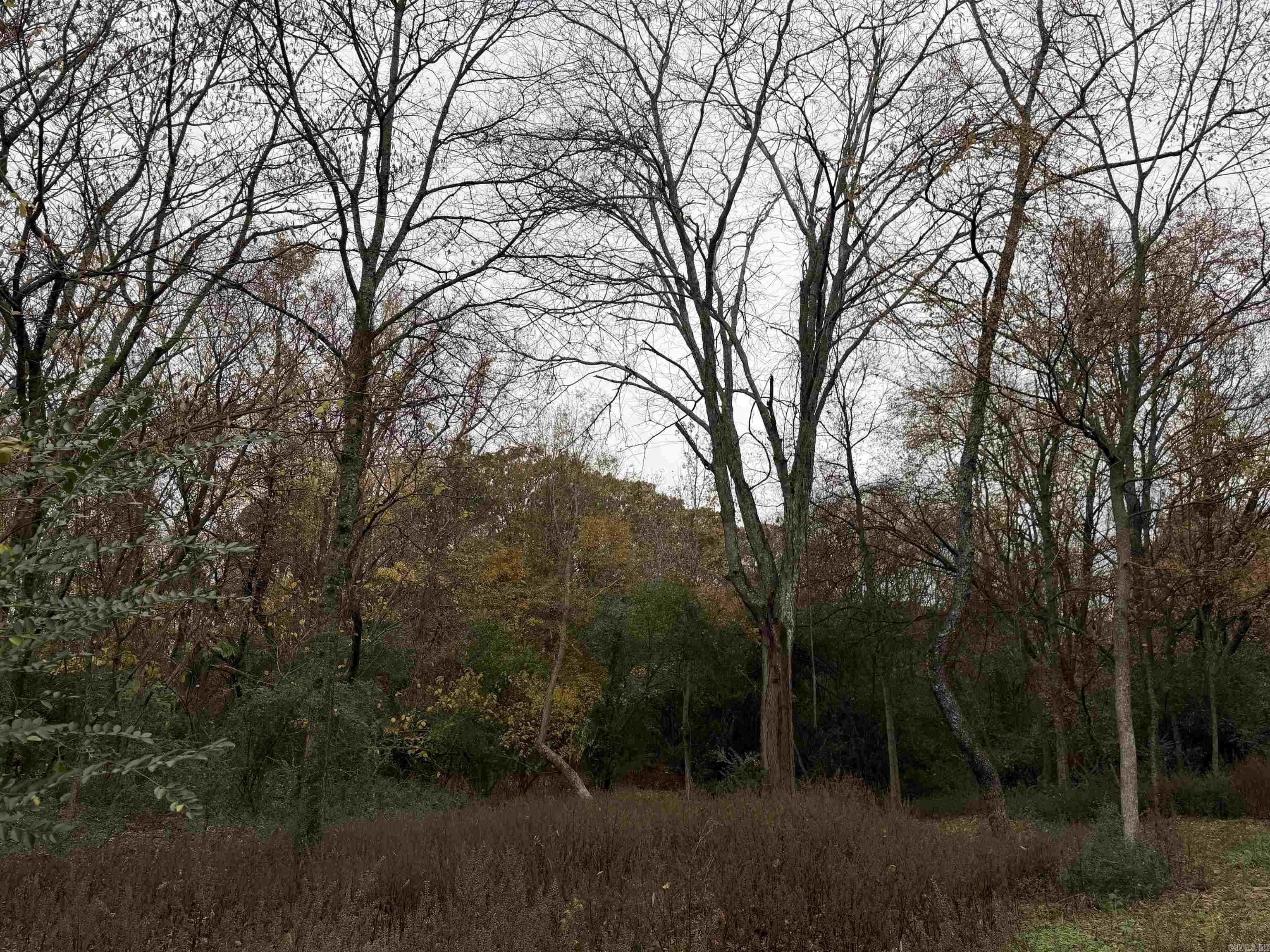 Property at 10 Acres  Woodland park road - Image 3