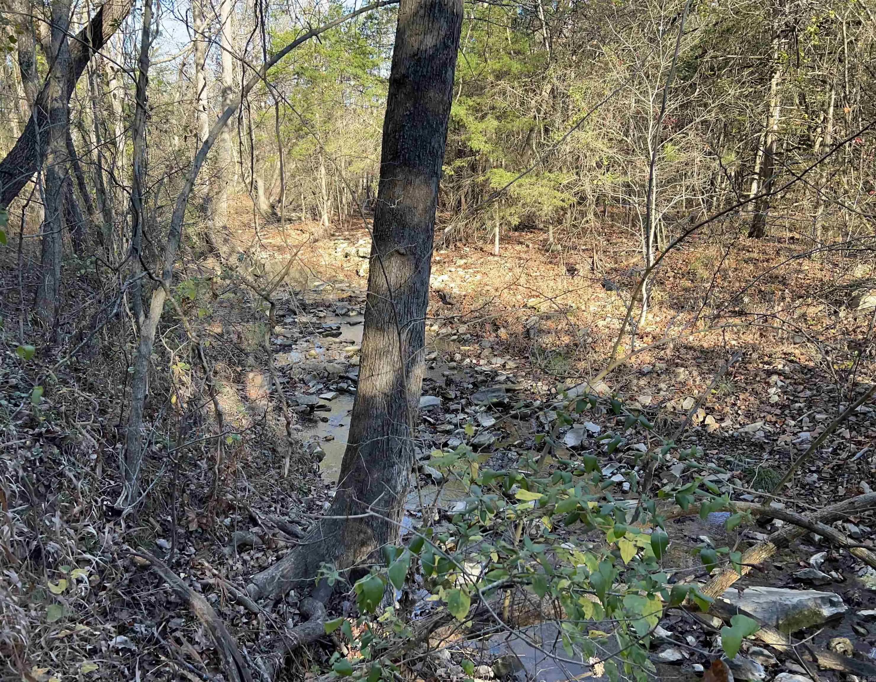 Property at 001-08378-001 W Hwy 62 - Image 3