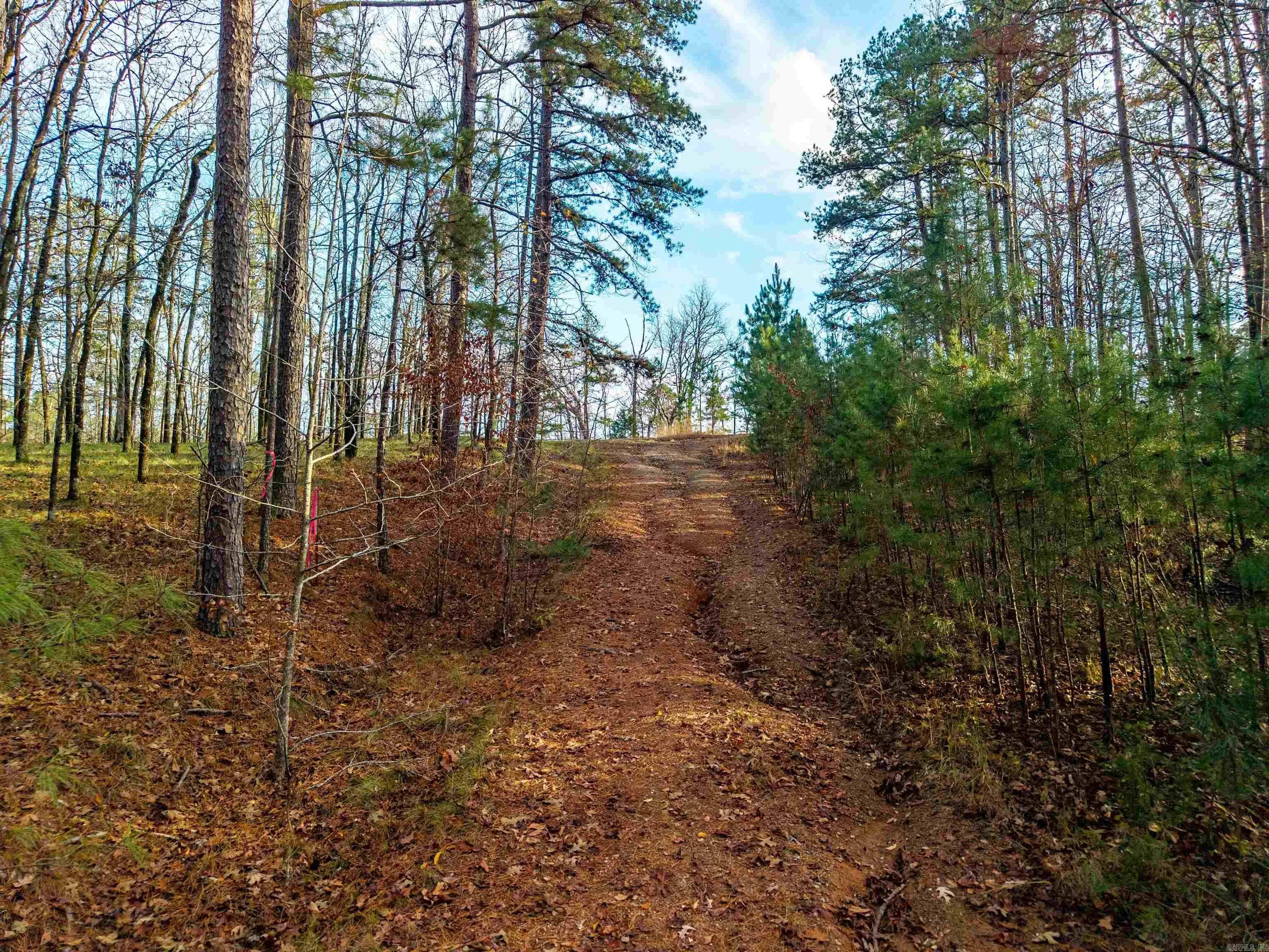 Property at xxx  Glenwood - Image 15