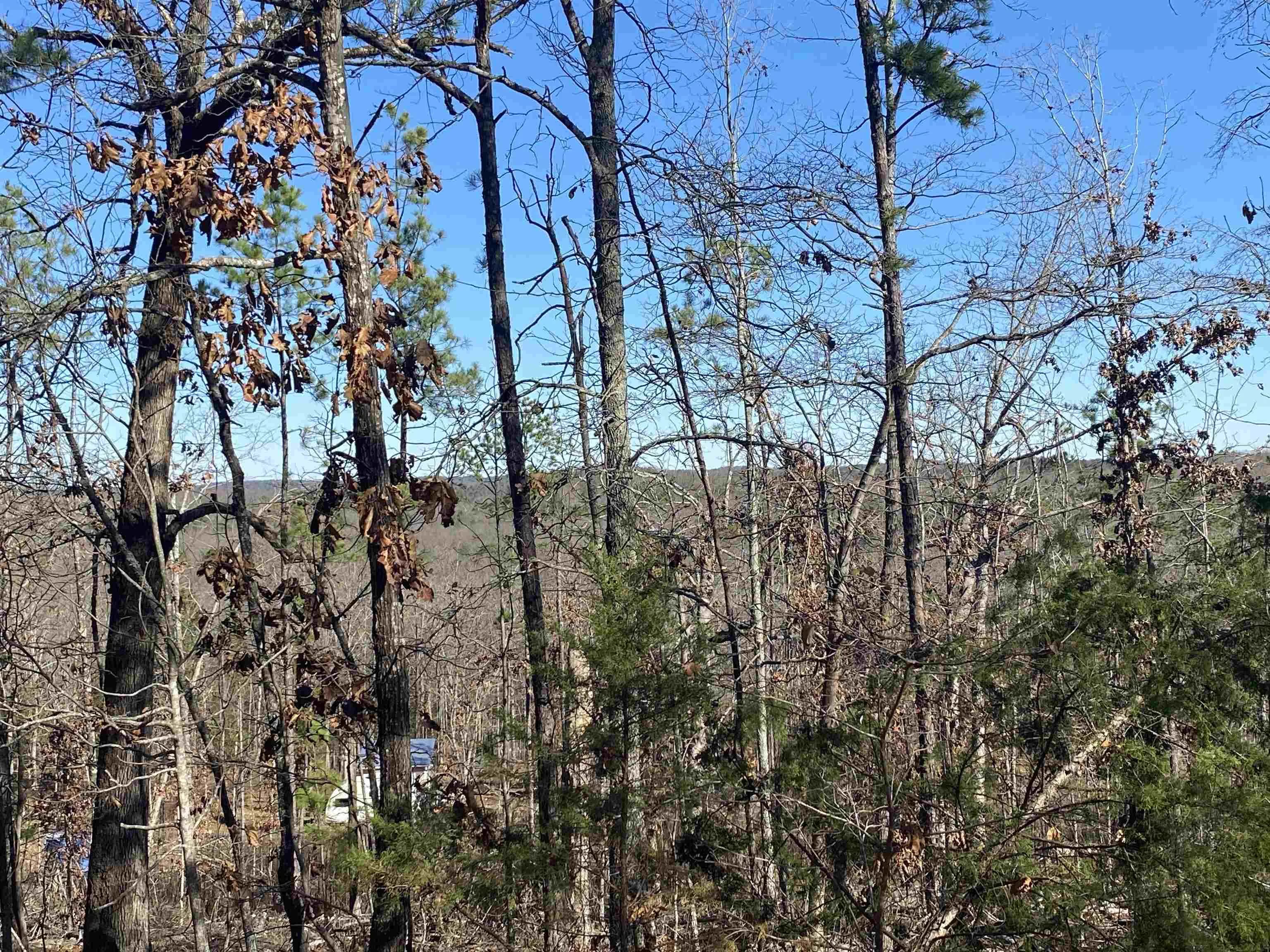Property at 924  Quail way - Image 1