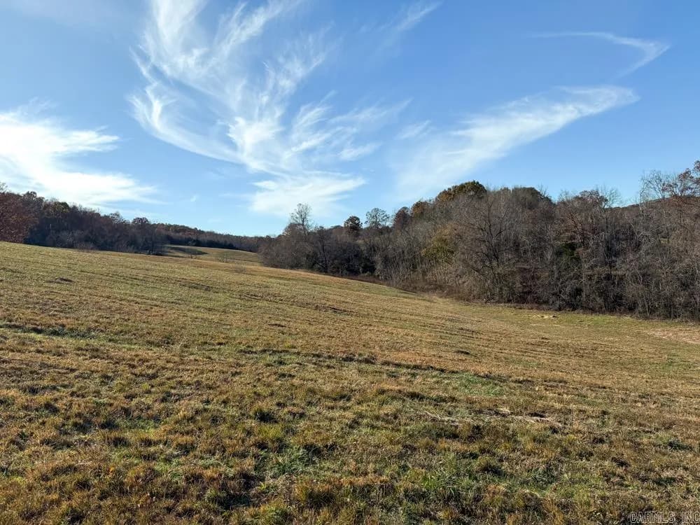 Property at 31025  263 - Image 17