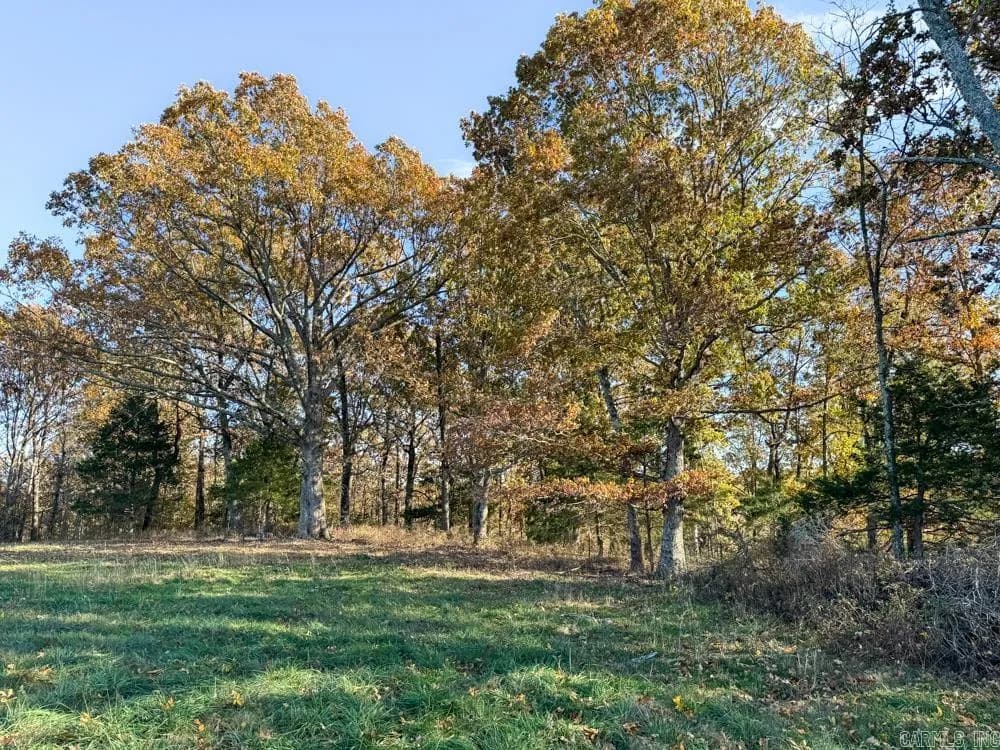 Property at 31025  263 - Image 29