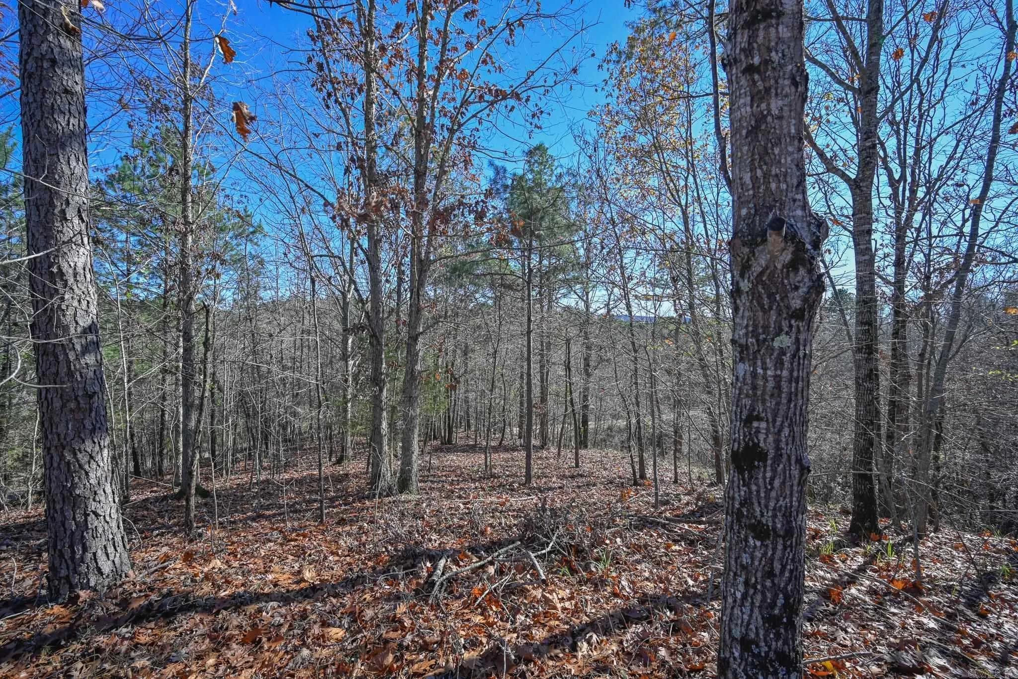 Property at 540  Polk road 78 - Image 36