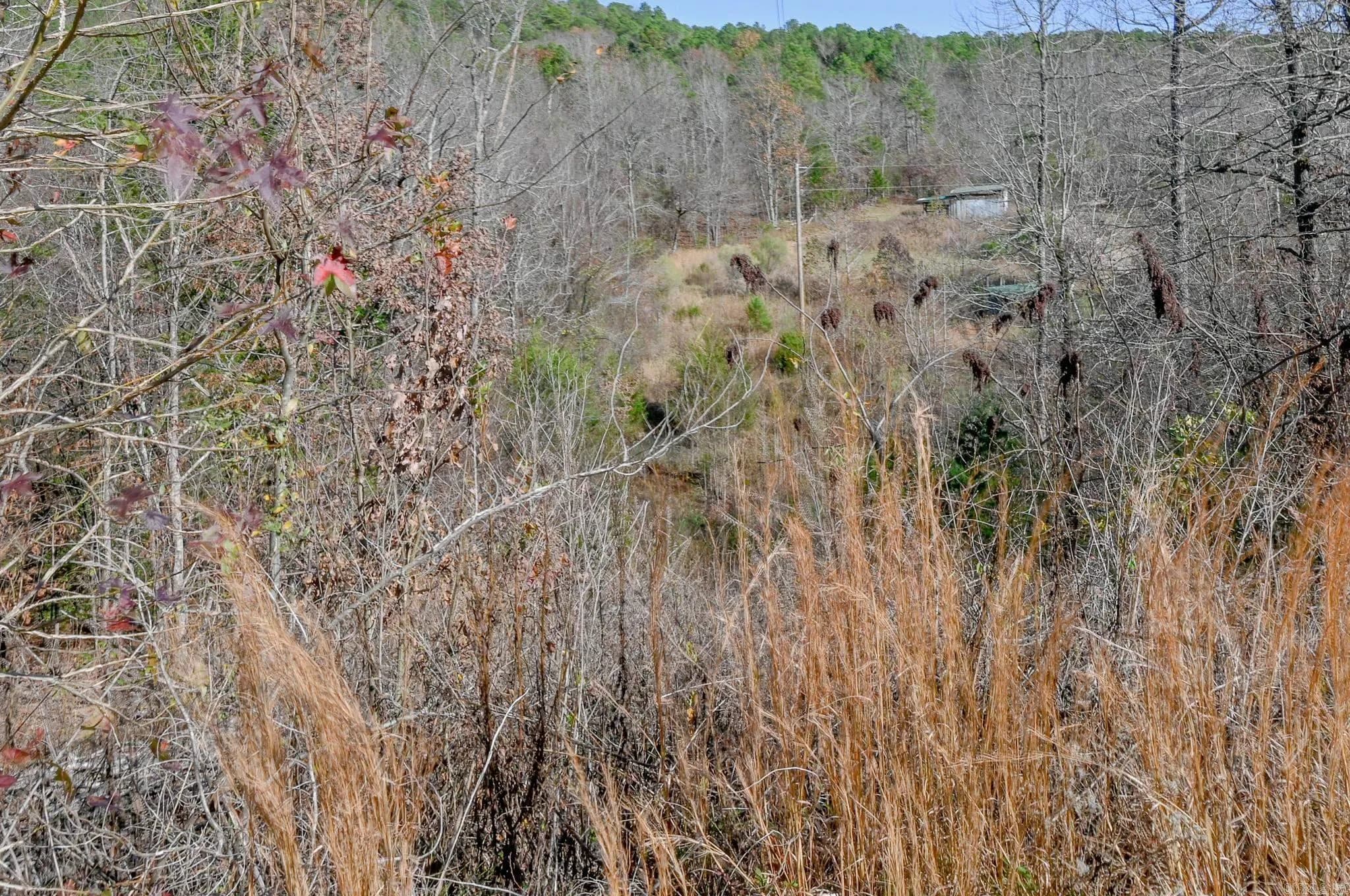 Property at 540  Polk road 78 - Image 43