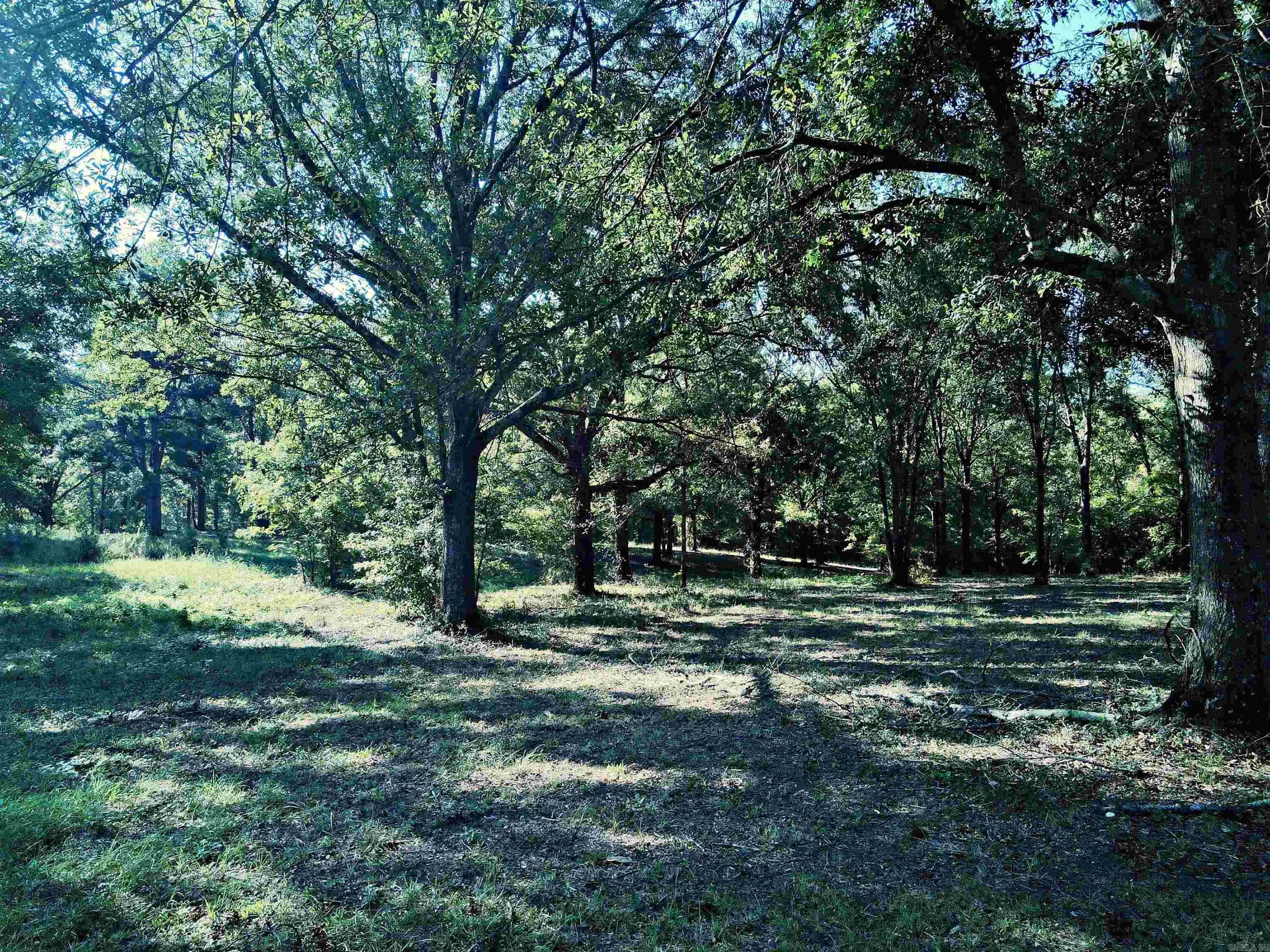 Property at TBD  Scottish - Image 11