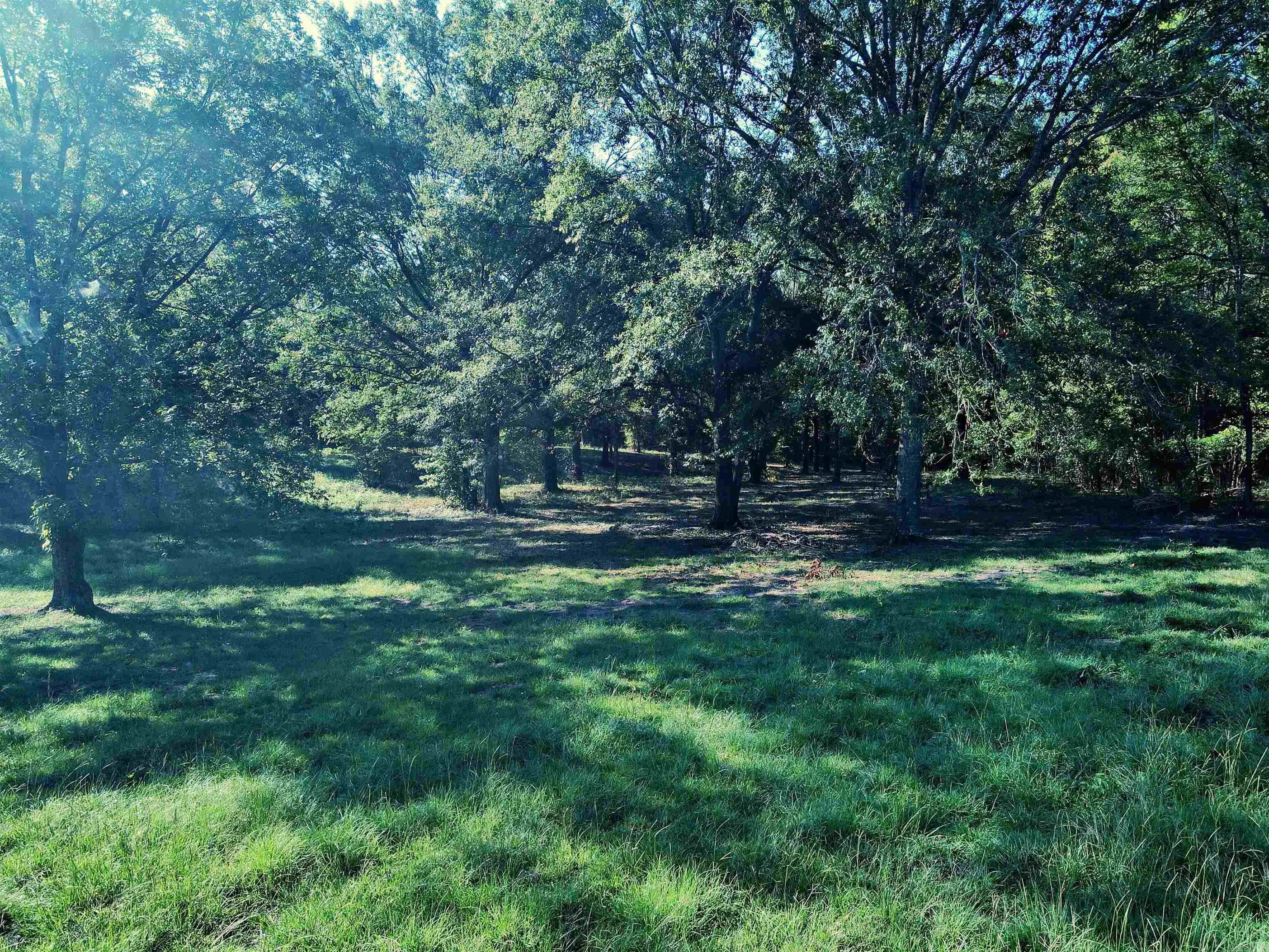 Property at TBD  Scottish - Image 16