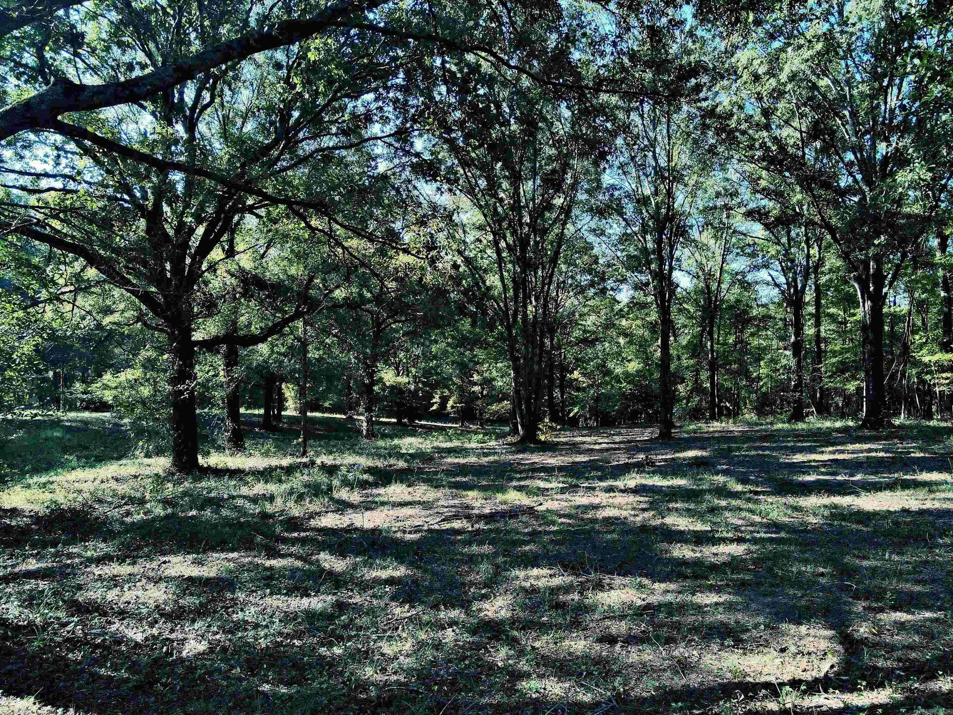Property at TBD  Scottish - Image 12