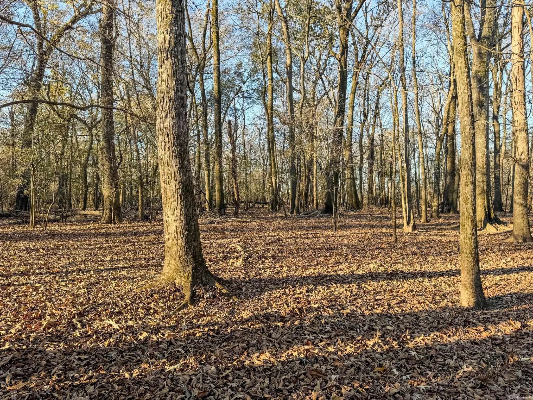 Property at Sfc 255 - Image 33