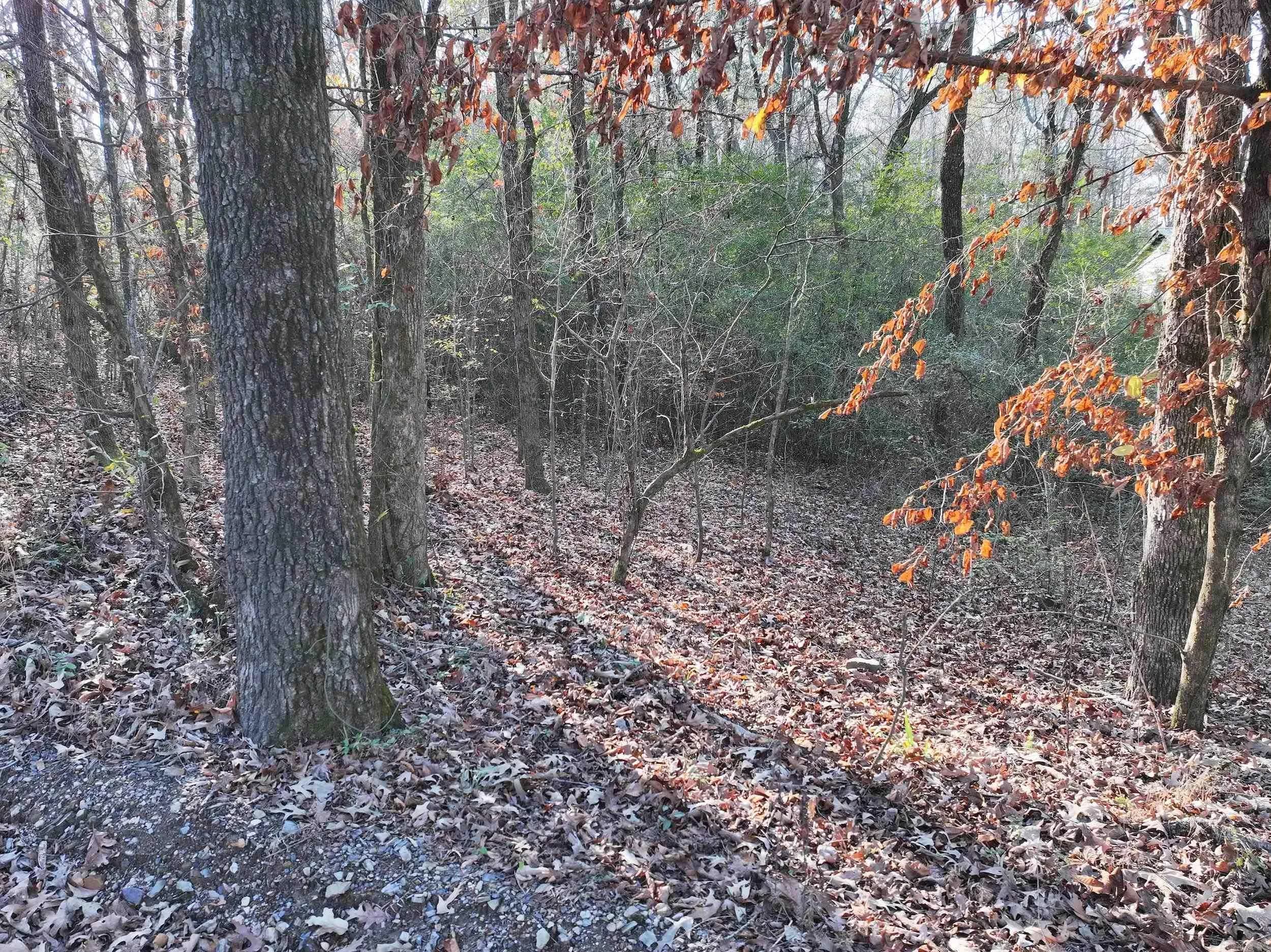 Property at 142  O'neal - Image 7