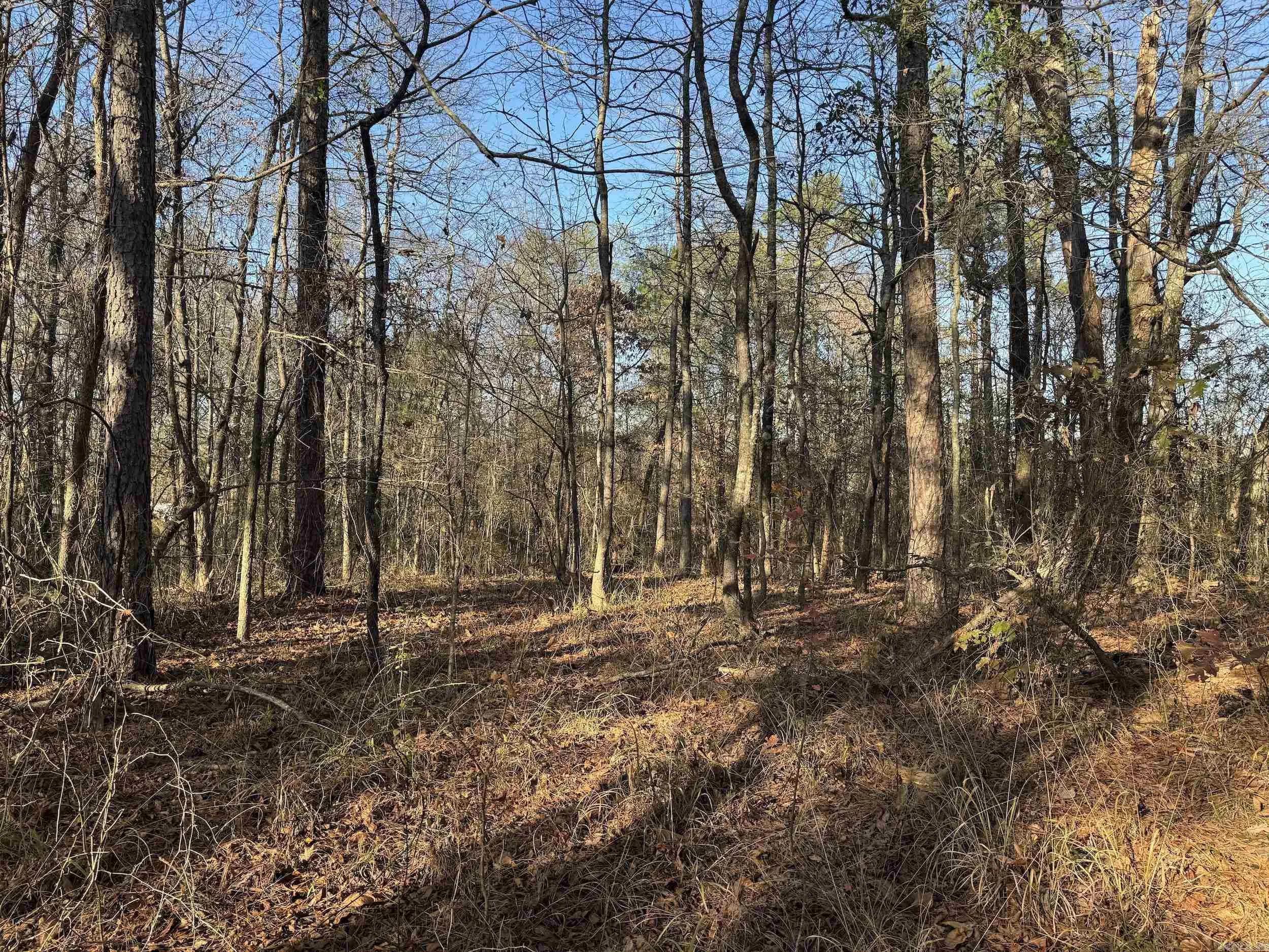 Property at 142  O'neal - Image 2